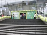 Vayga (Burakova Street, 6), organization of events