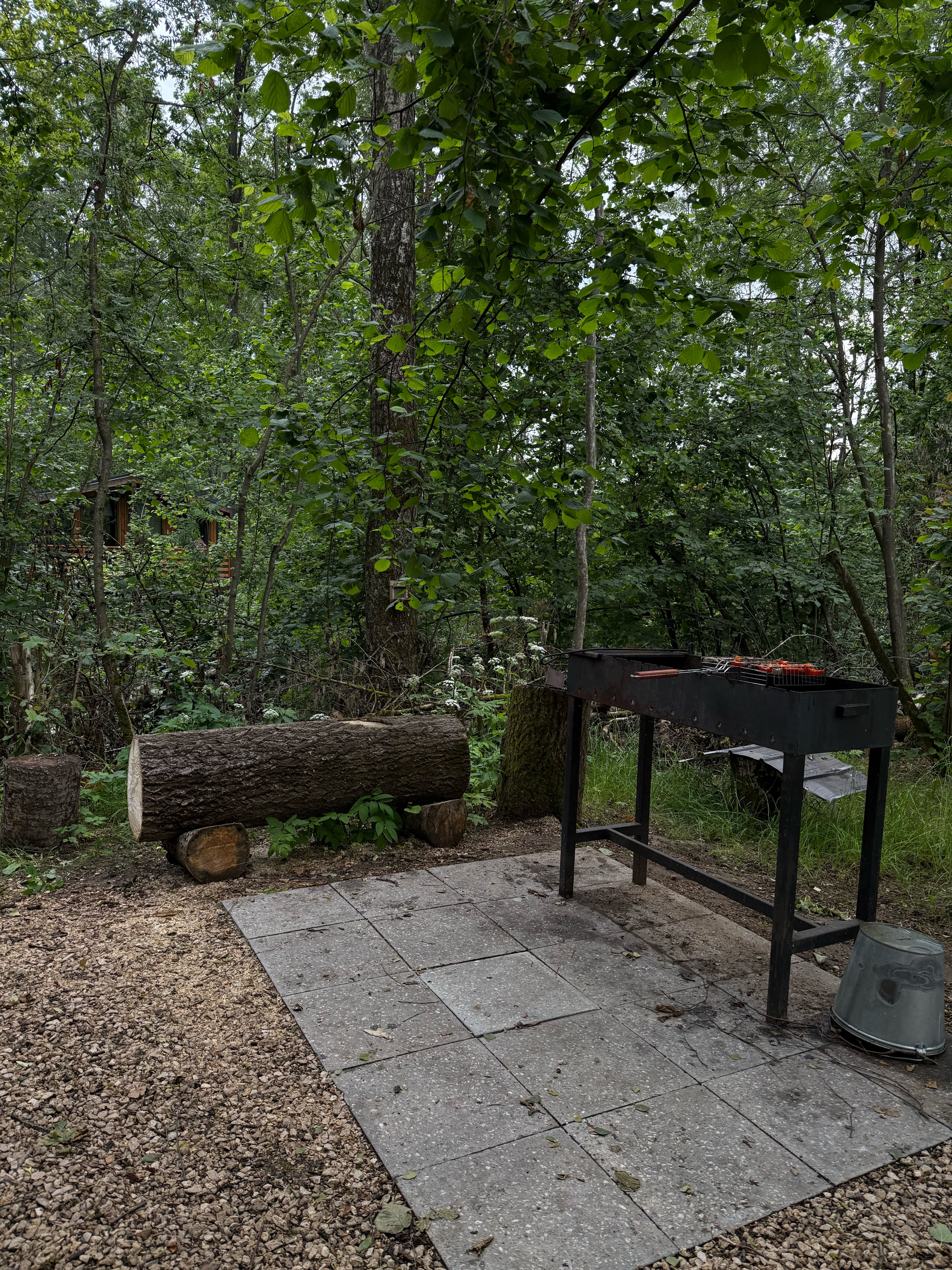 Фото Ореховая роща