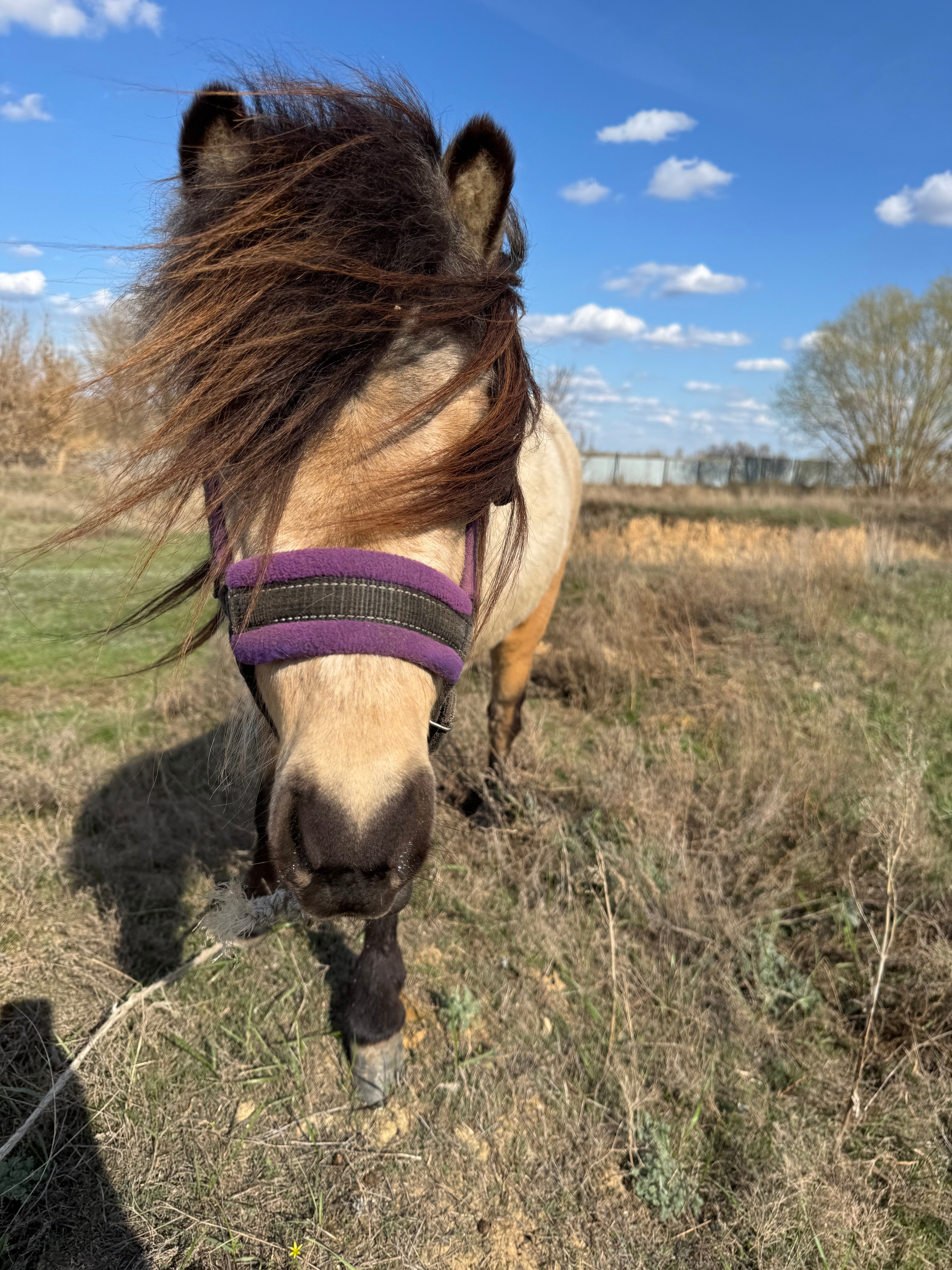 Фото Усадьба Заилечье