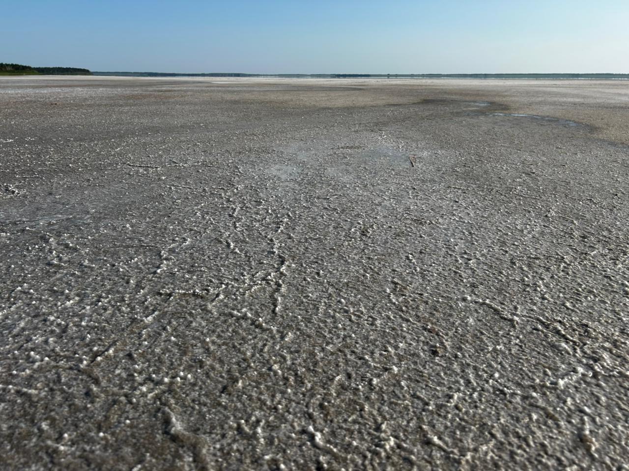 Фото Медвежий угол