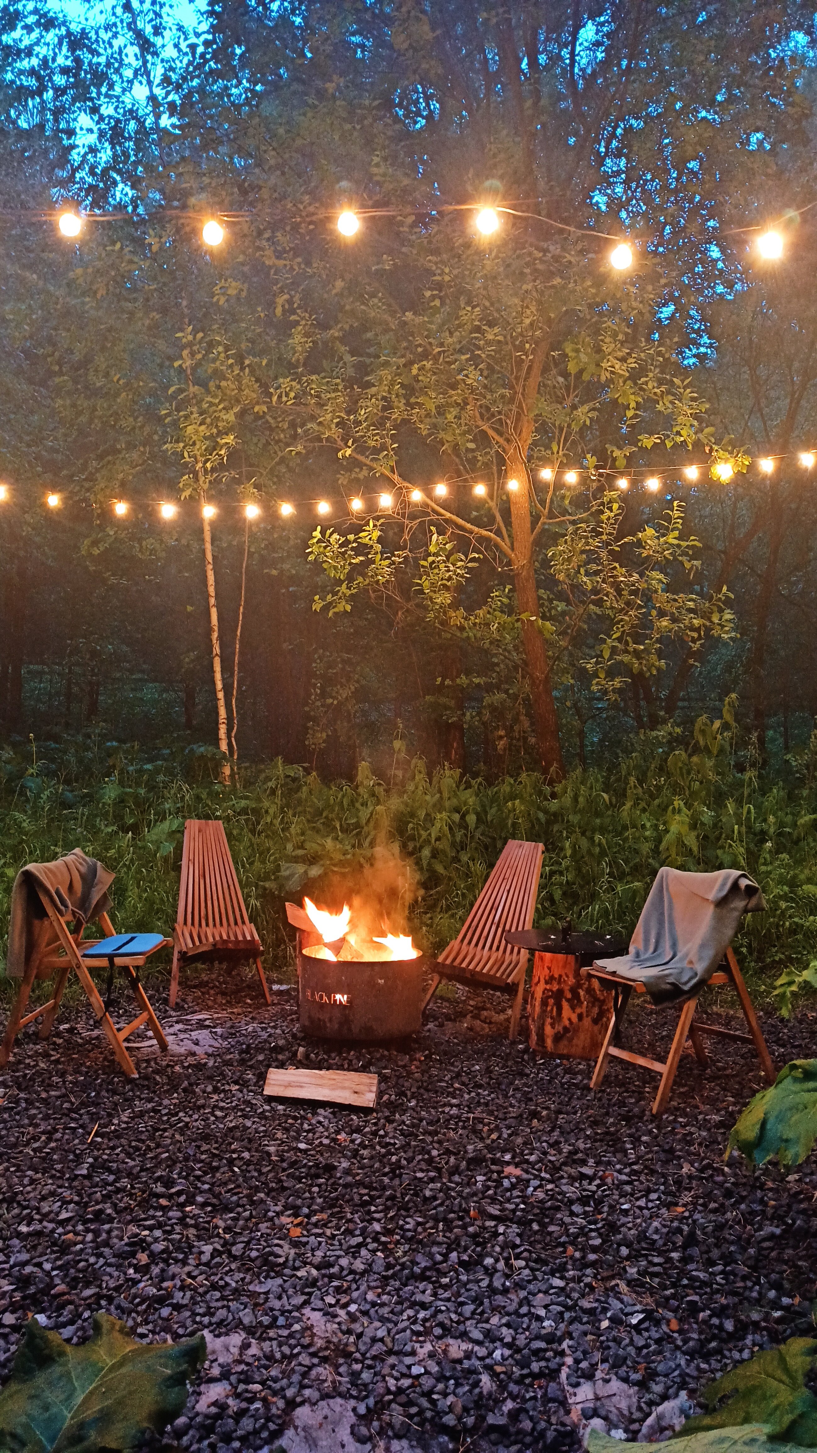 Фото Блэк пайн