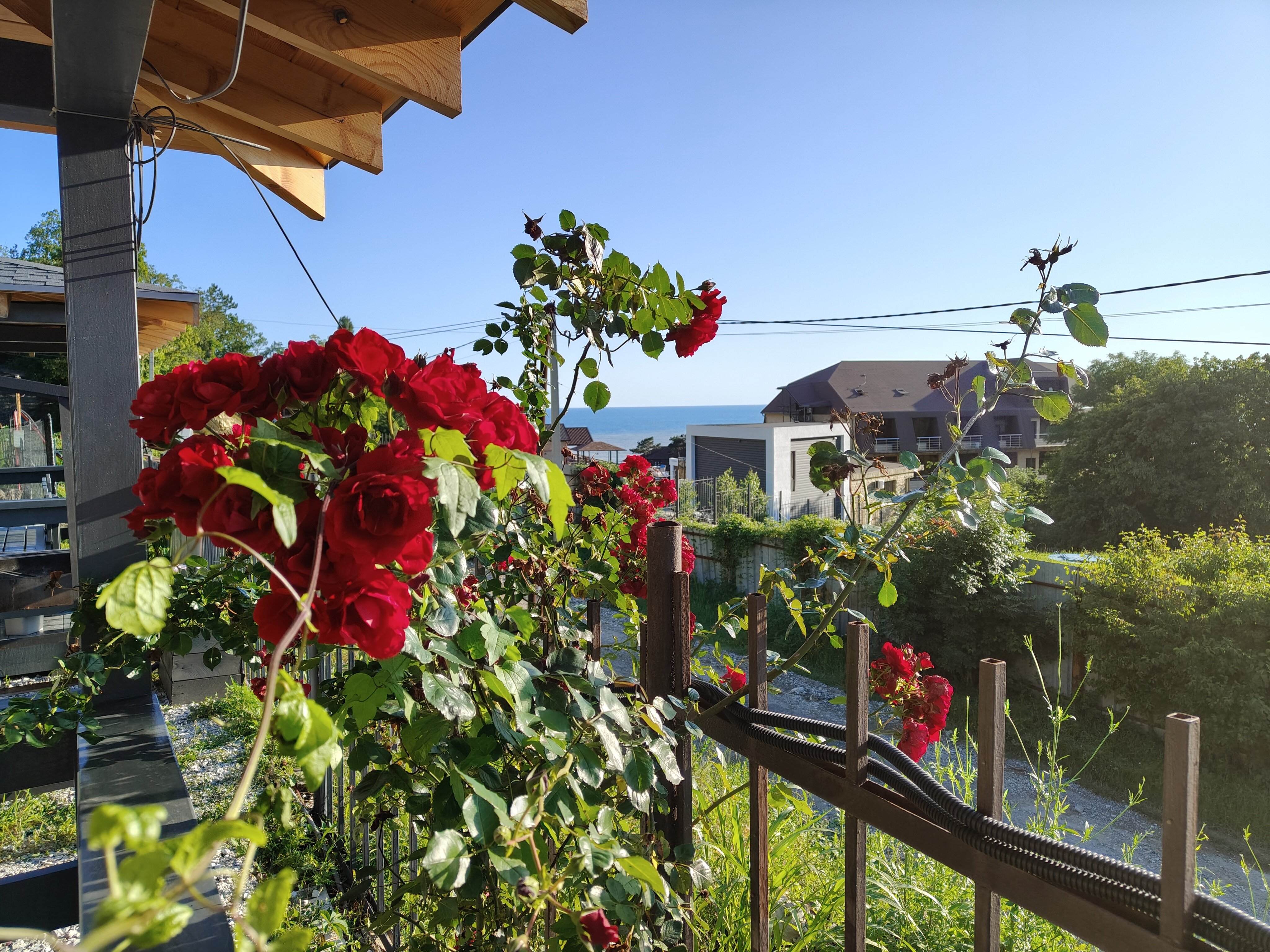 Фото Дома у моря