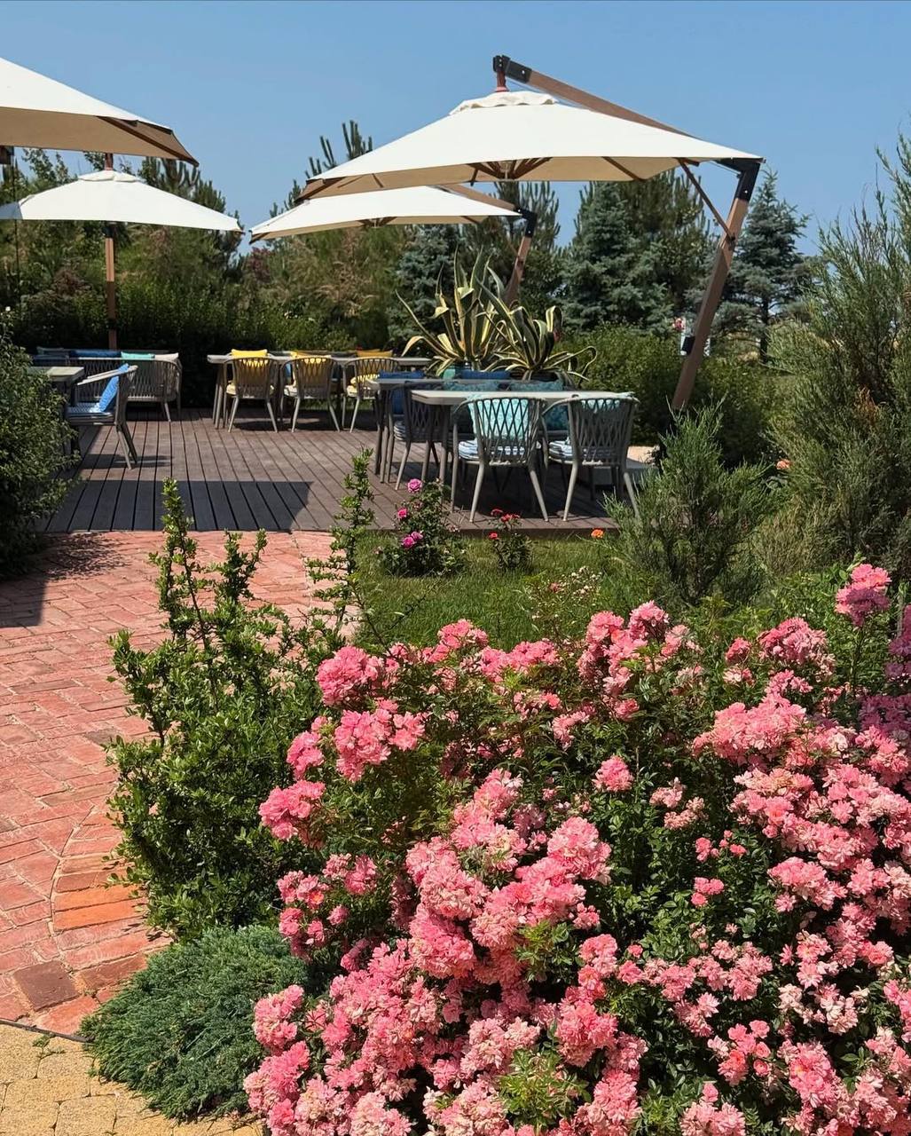 Фото Villa Romanov Wine Club & SPA