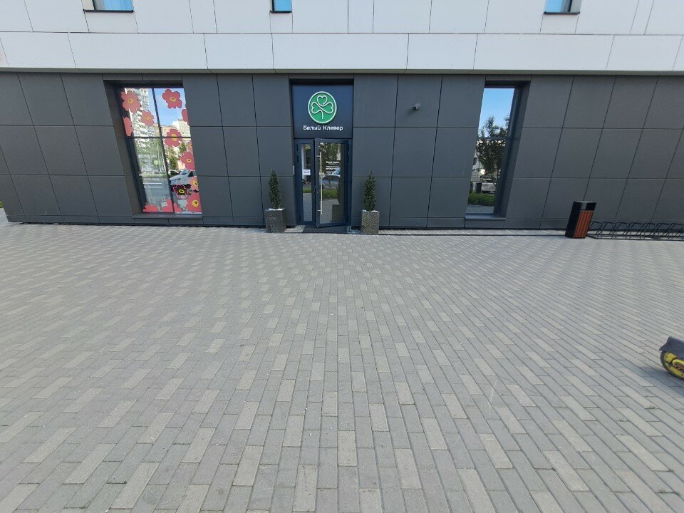 Фото Белый Клевер