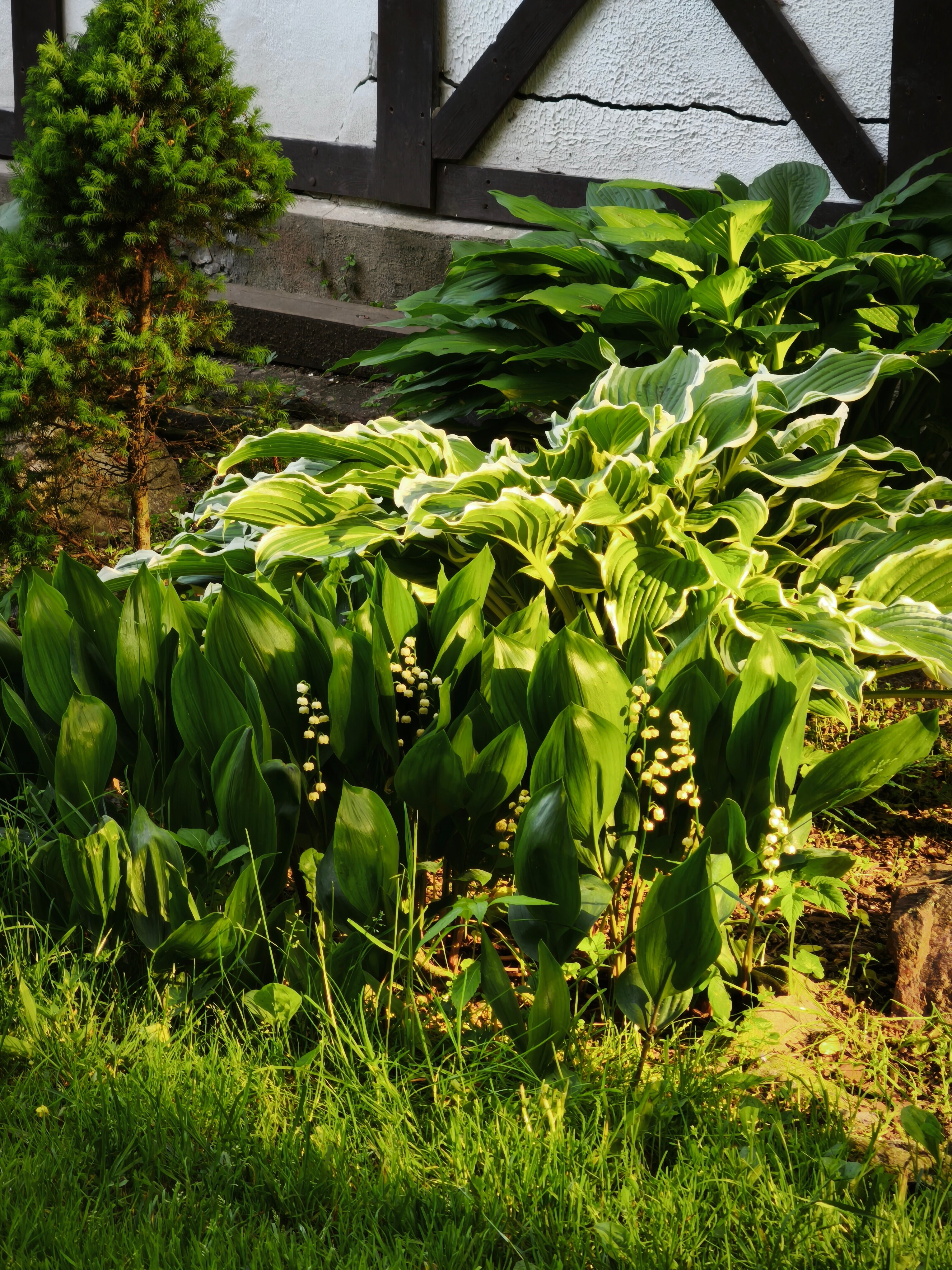 Фото Отель-коттедж Ф&Ф