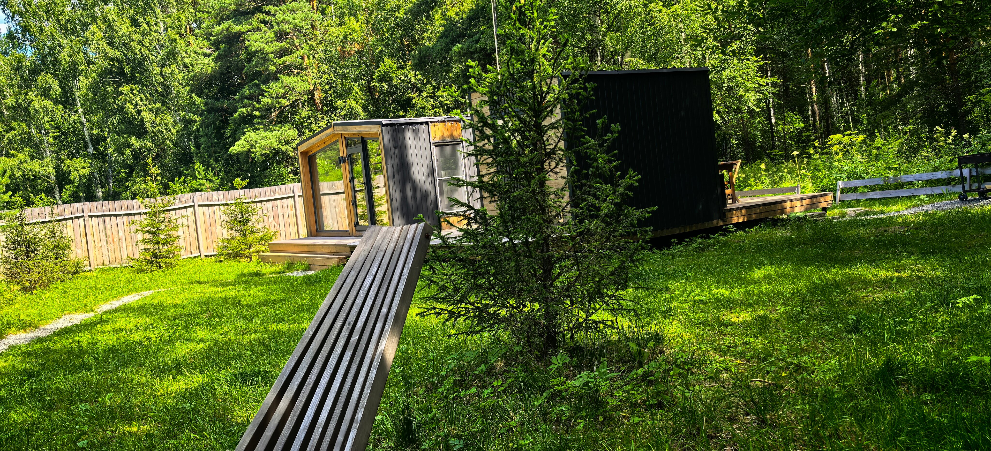 Фото На опушке