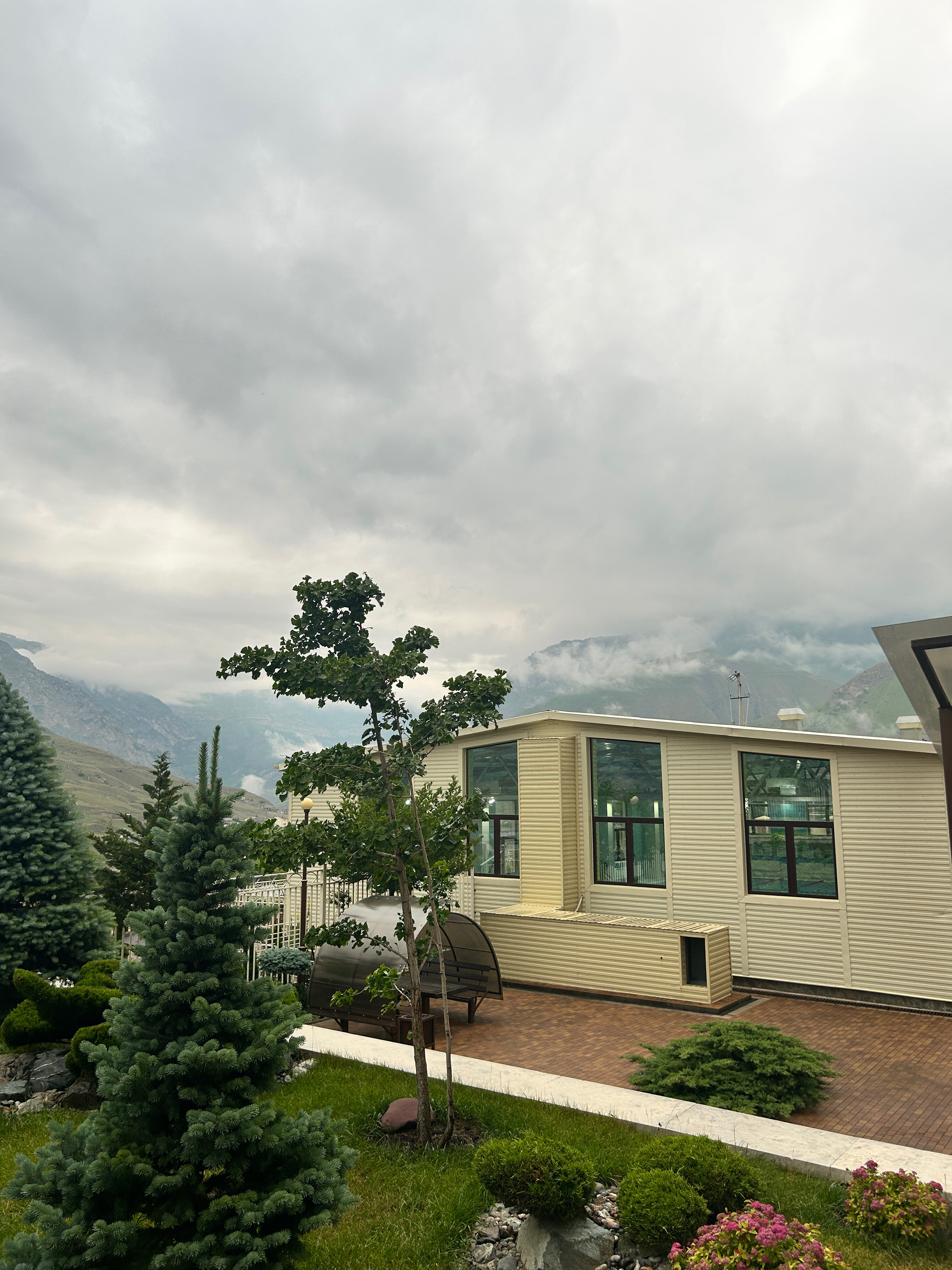 Фото Роза ветров