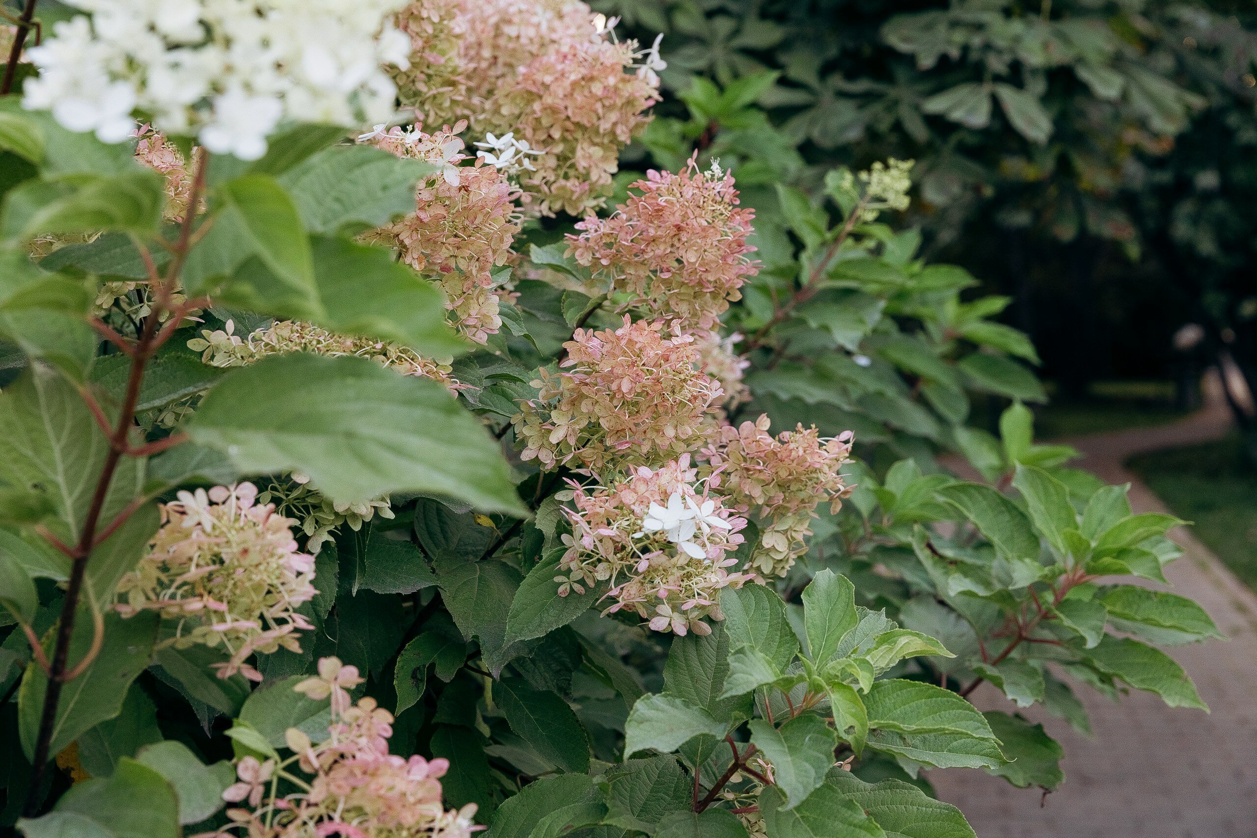 Фото Для Вас