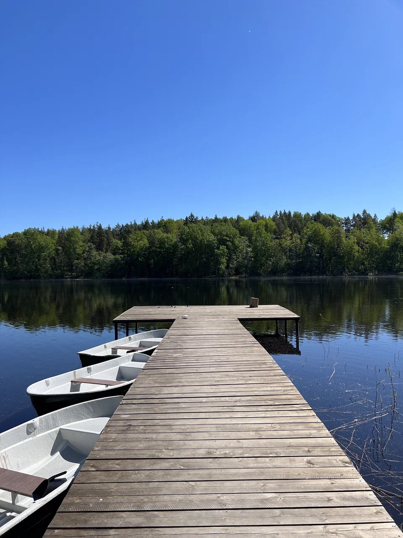 Фото Hills & Huts