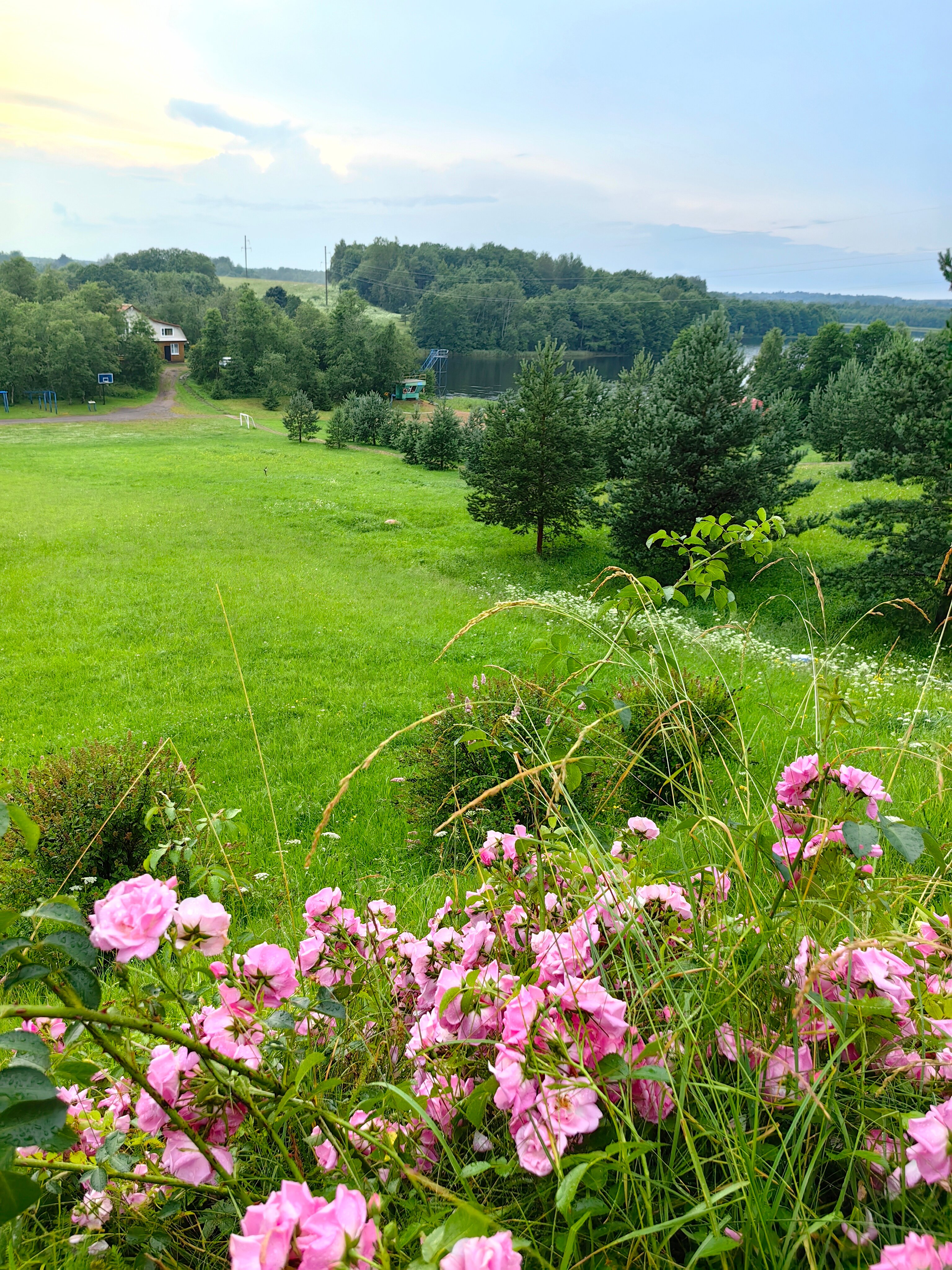 Фото Лесная гавань
