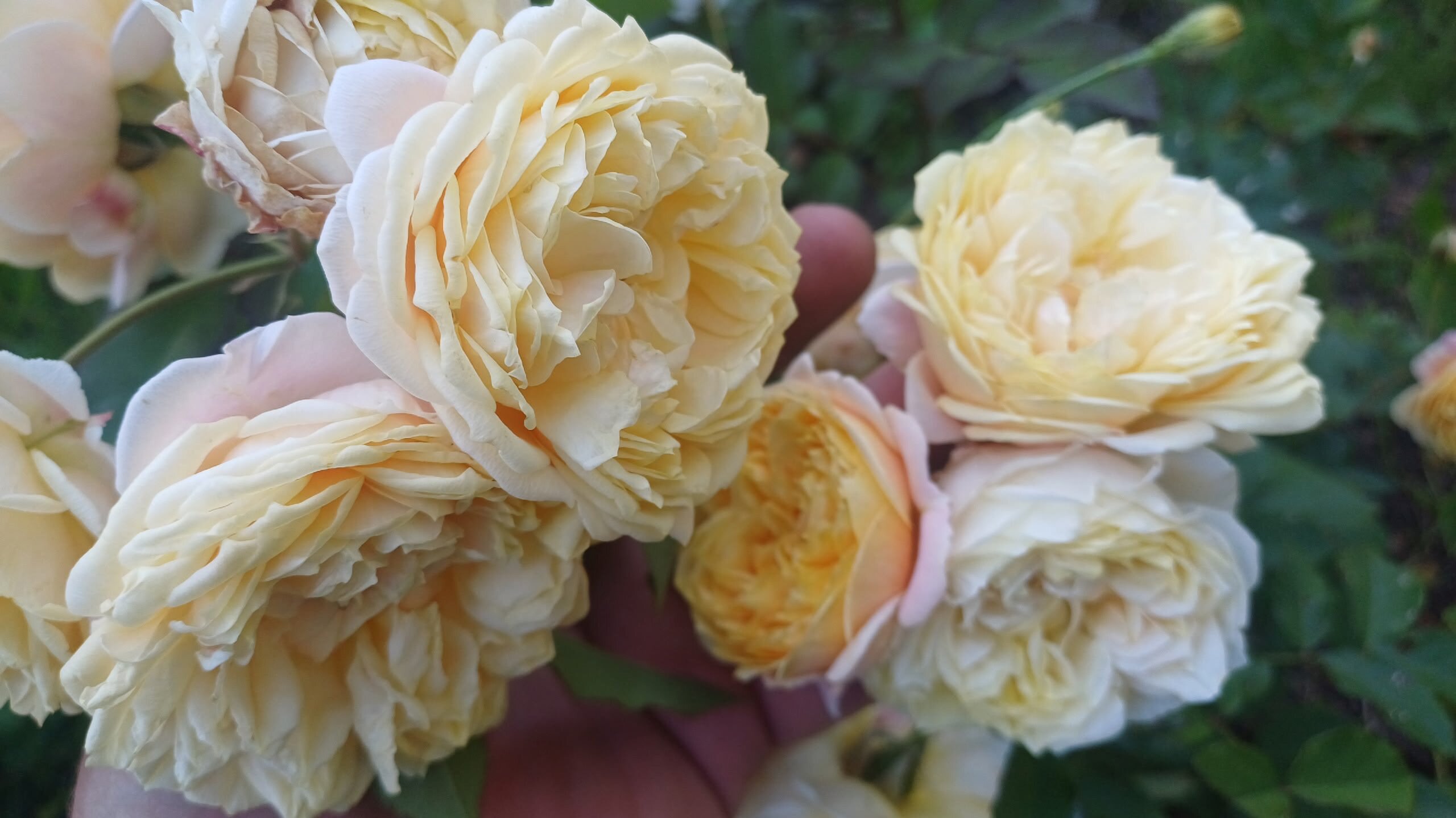 Фото Имение Дубровского