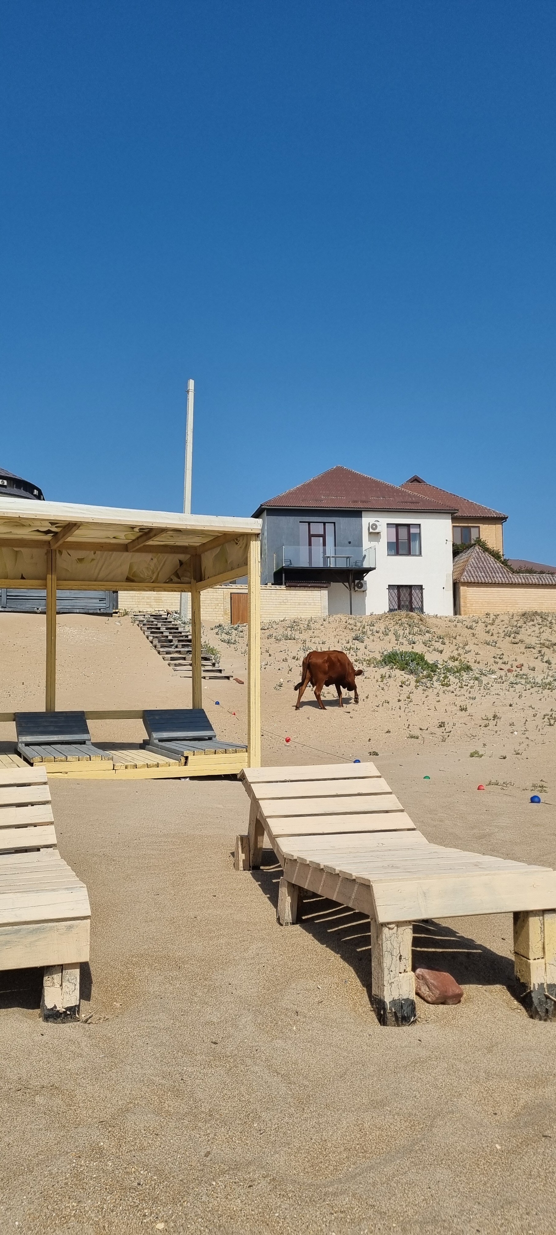 Фото Hotel Atmosphera