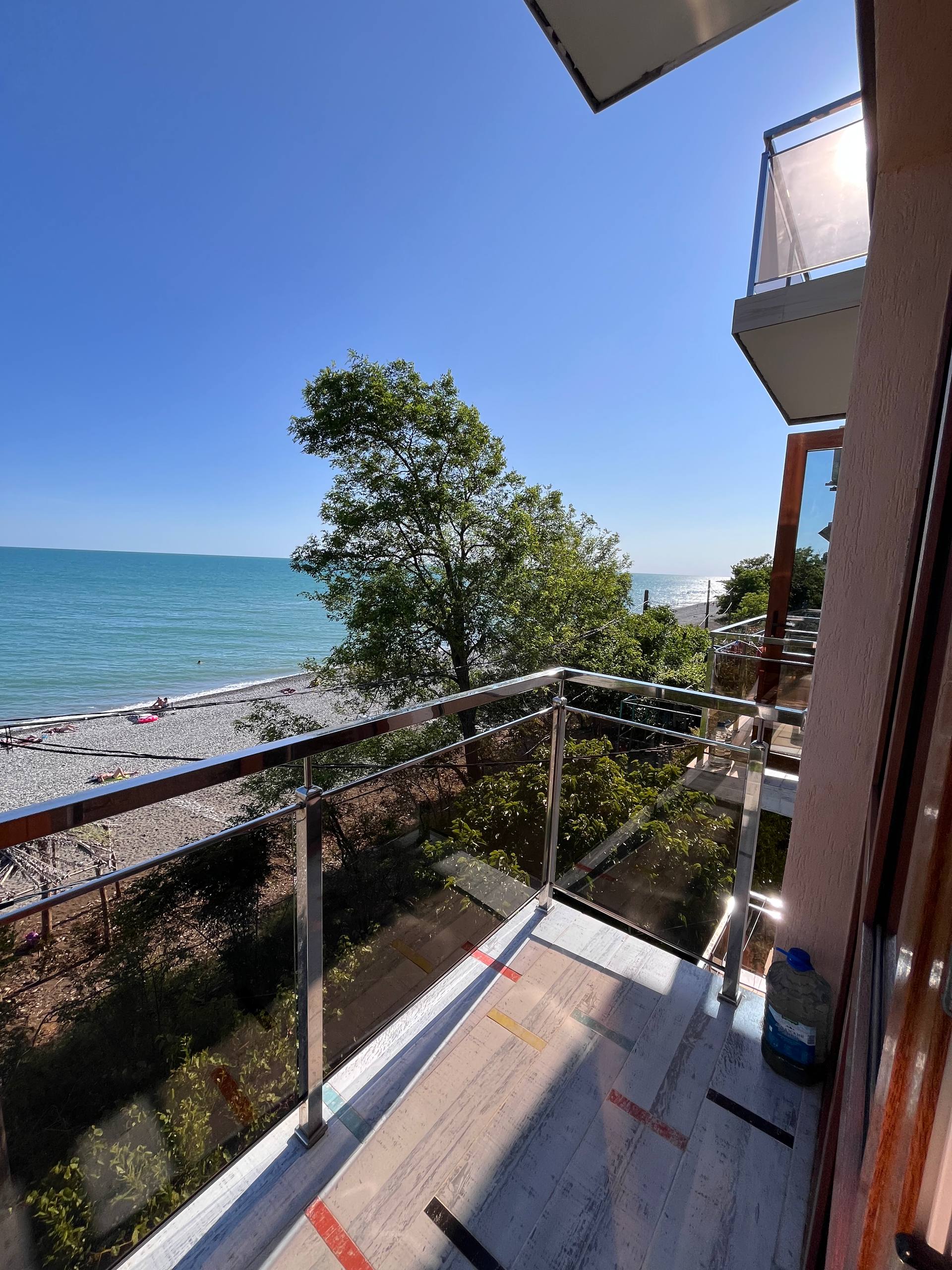 Фото Мандарин