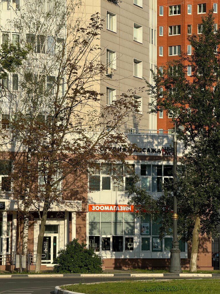 Spa Студия массажа Анны Бусс, Pushkino, photo