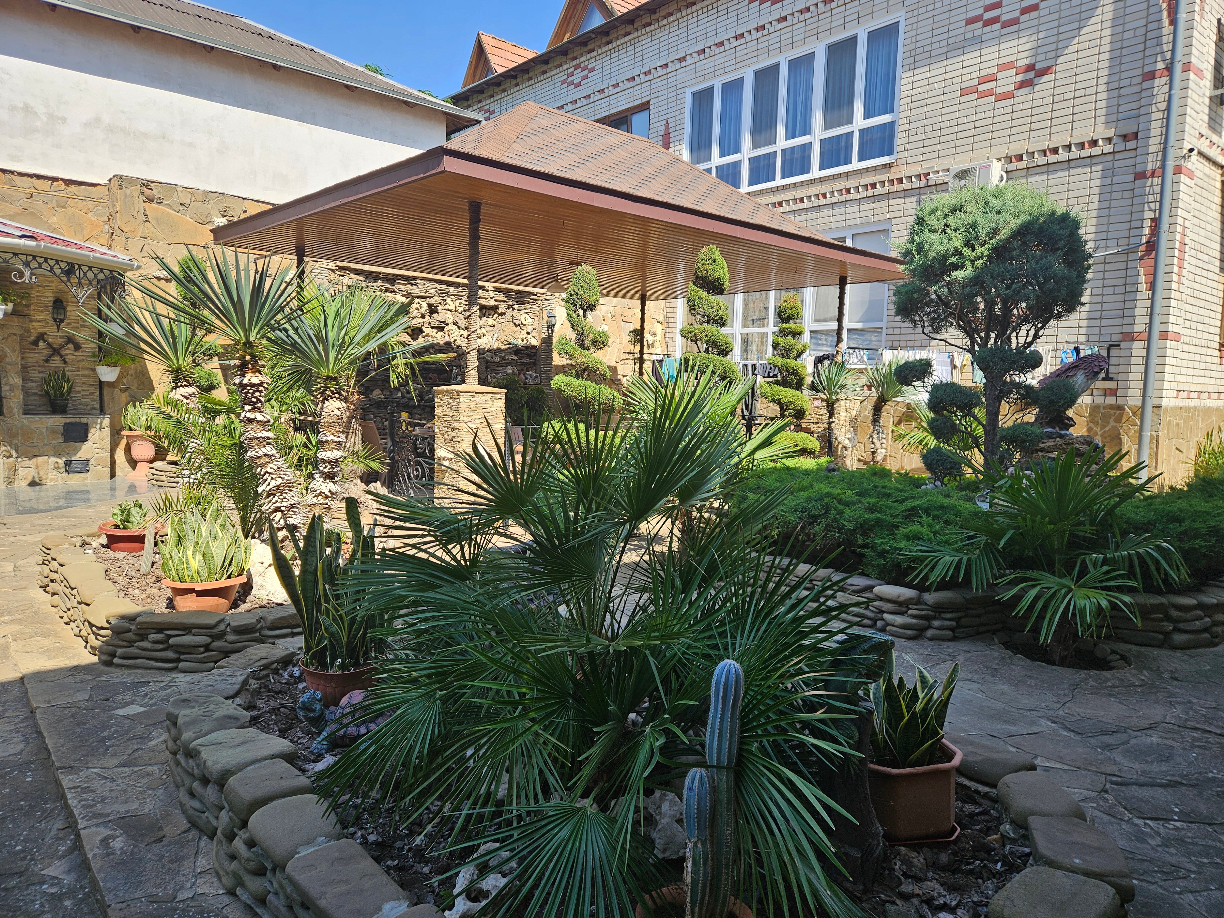 Фото Парадиз