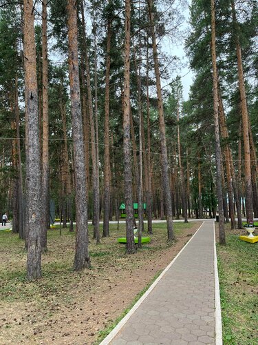 Порнодағы скрипка