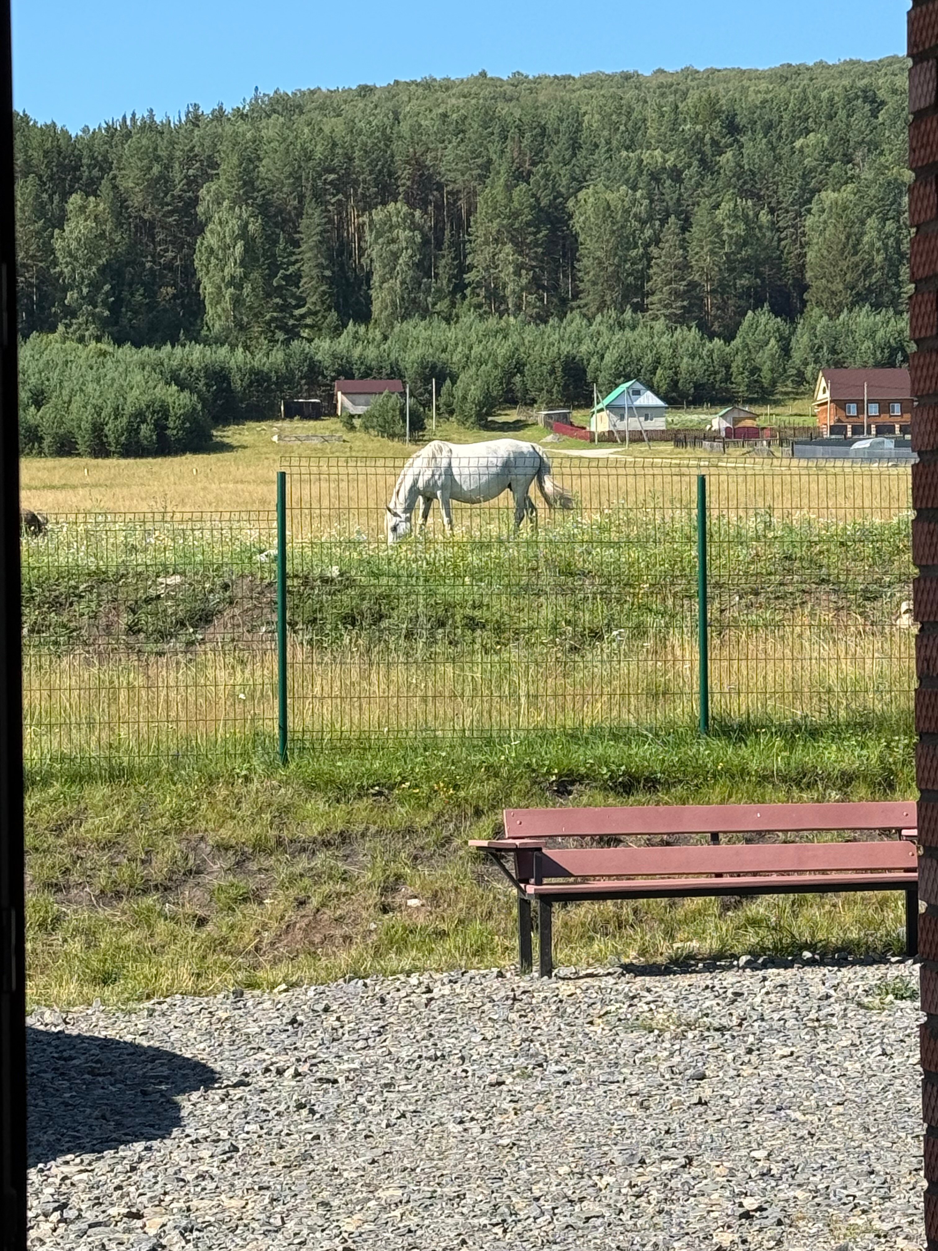 Фото Родина