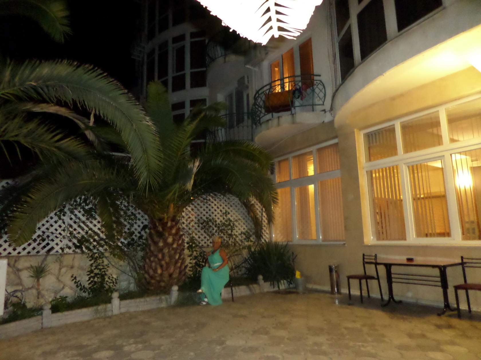 Фото Золотая пальма