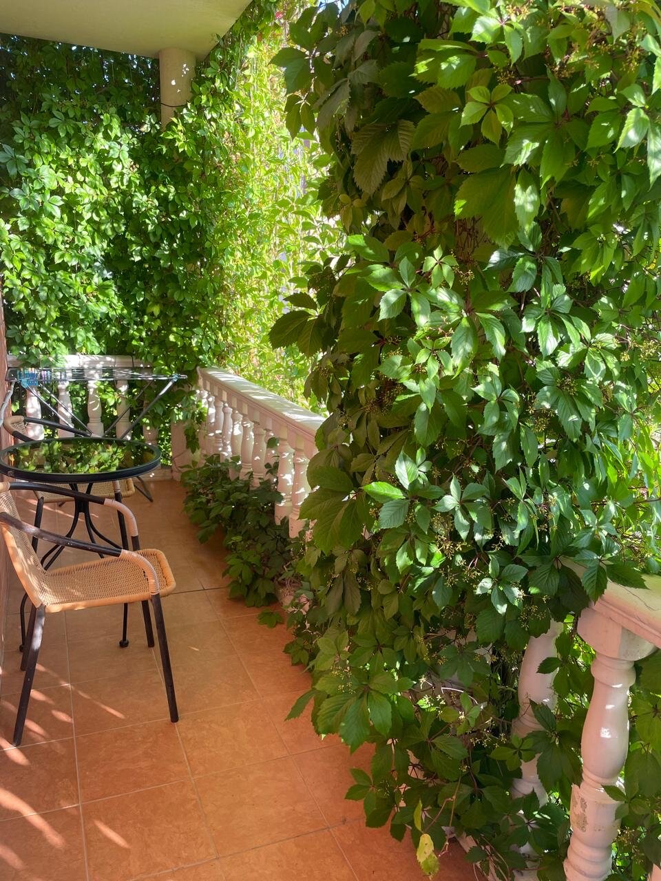 Фото Гостевой дом Эллина