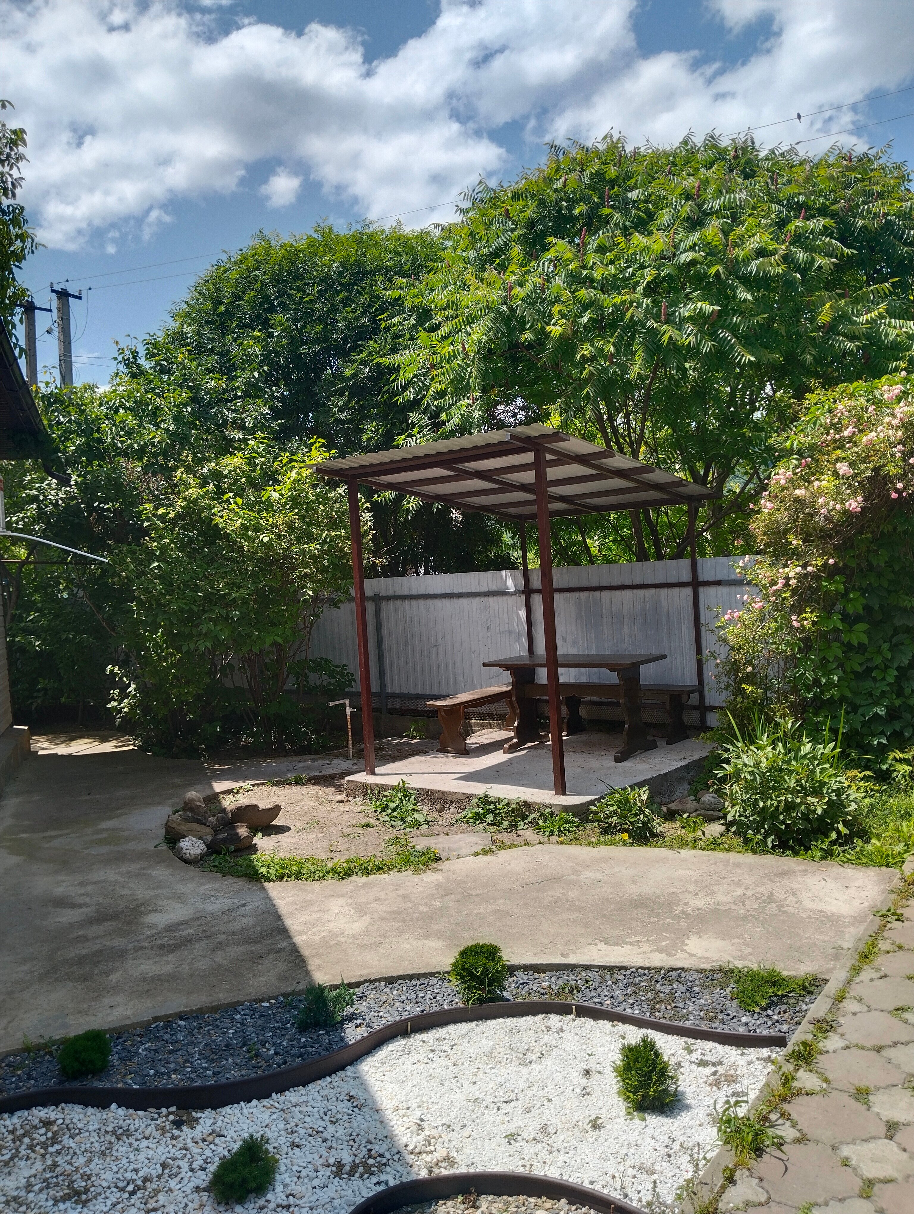 Фото Хвойный дворик