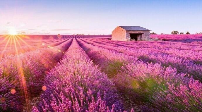 Food ingredients and spices Aktarloji Doğal Ürünler, Antalya, photo
