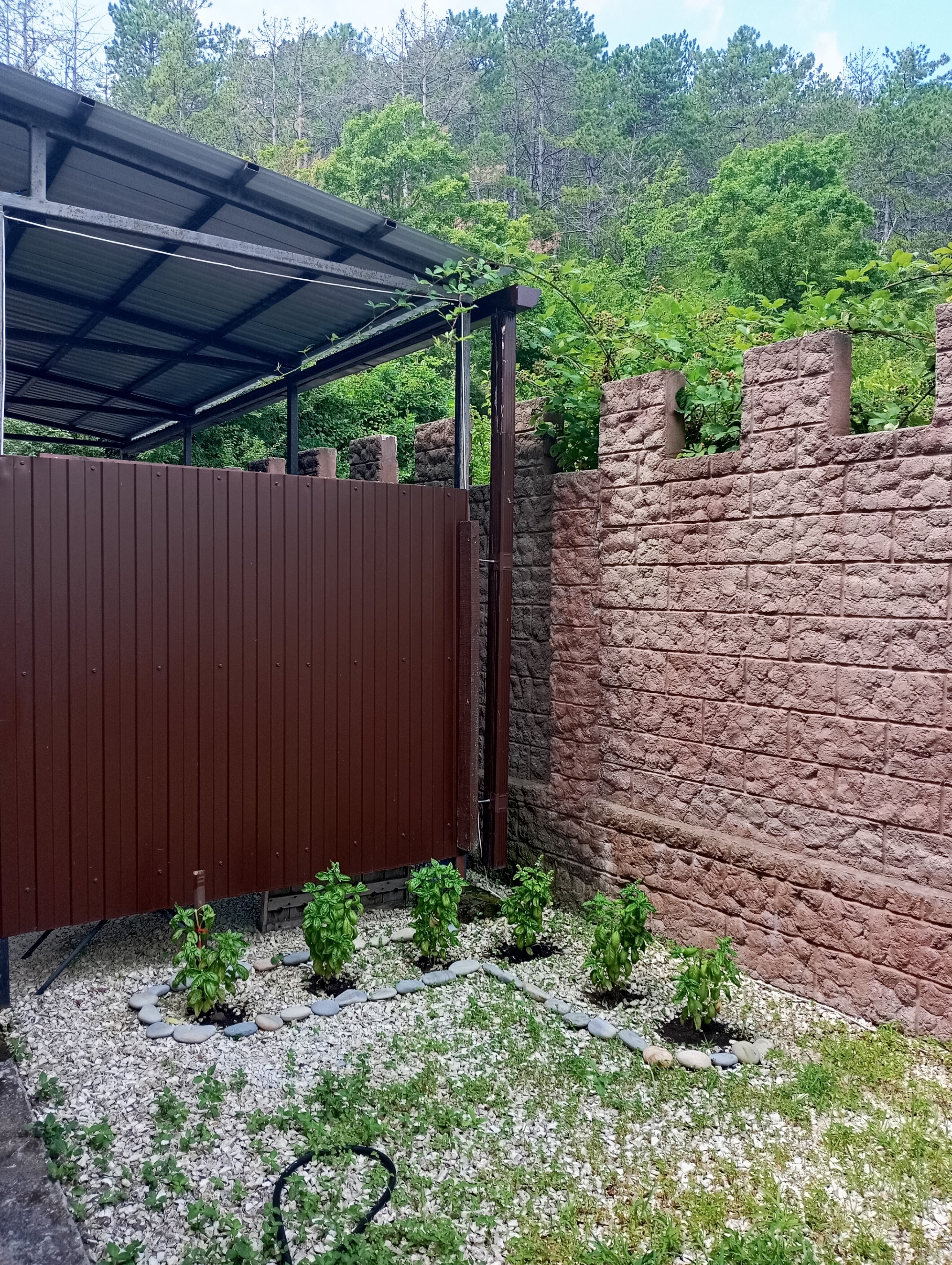 Фото Айвенго