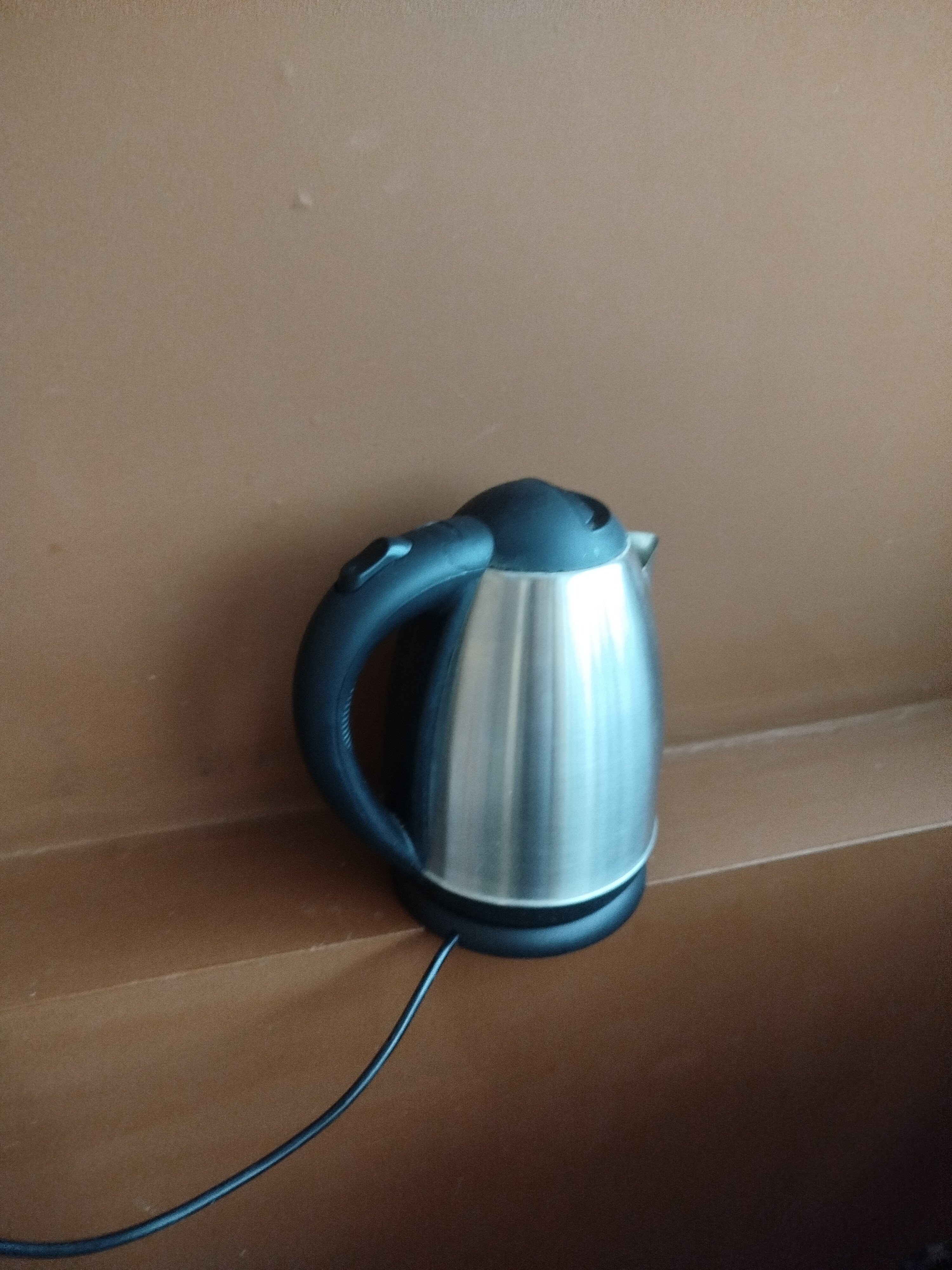 Фото Брусника Амурская