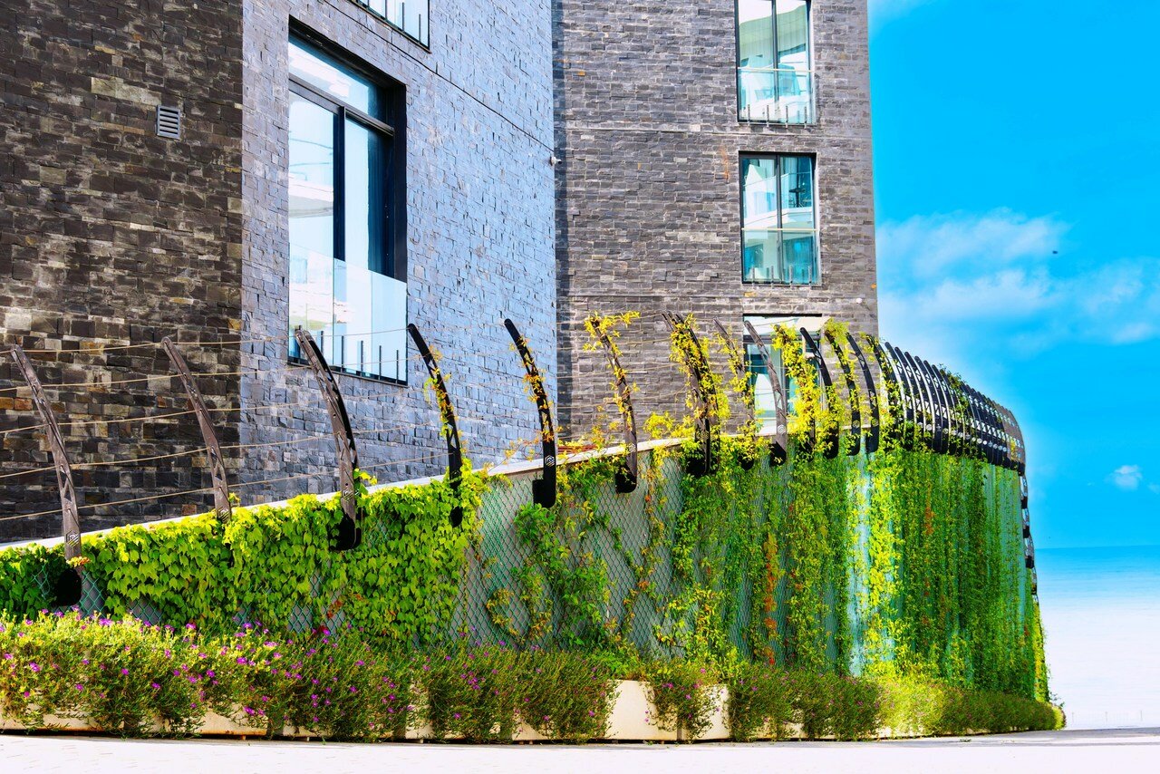 Фото Лазурные апартаменты