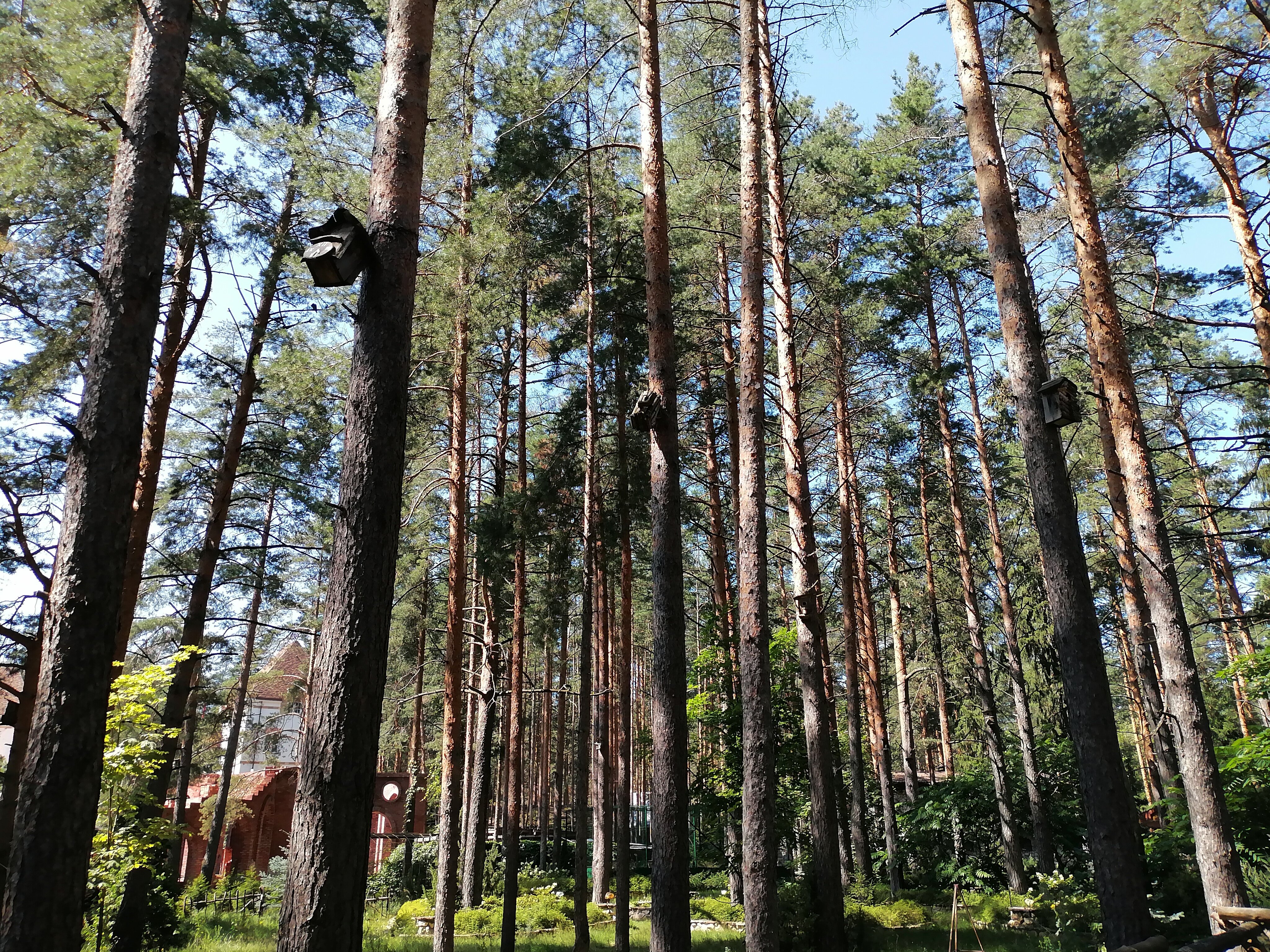Фото Усадьба Мещёрская
