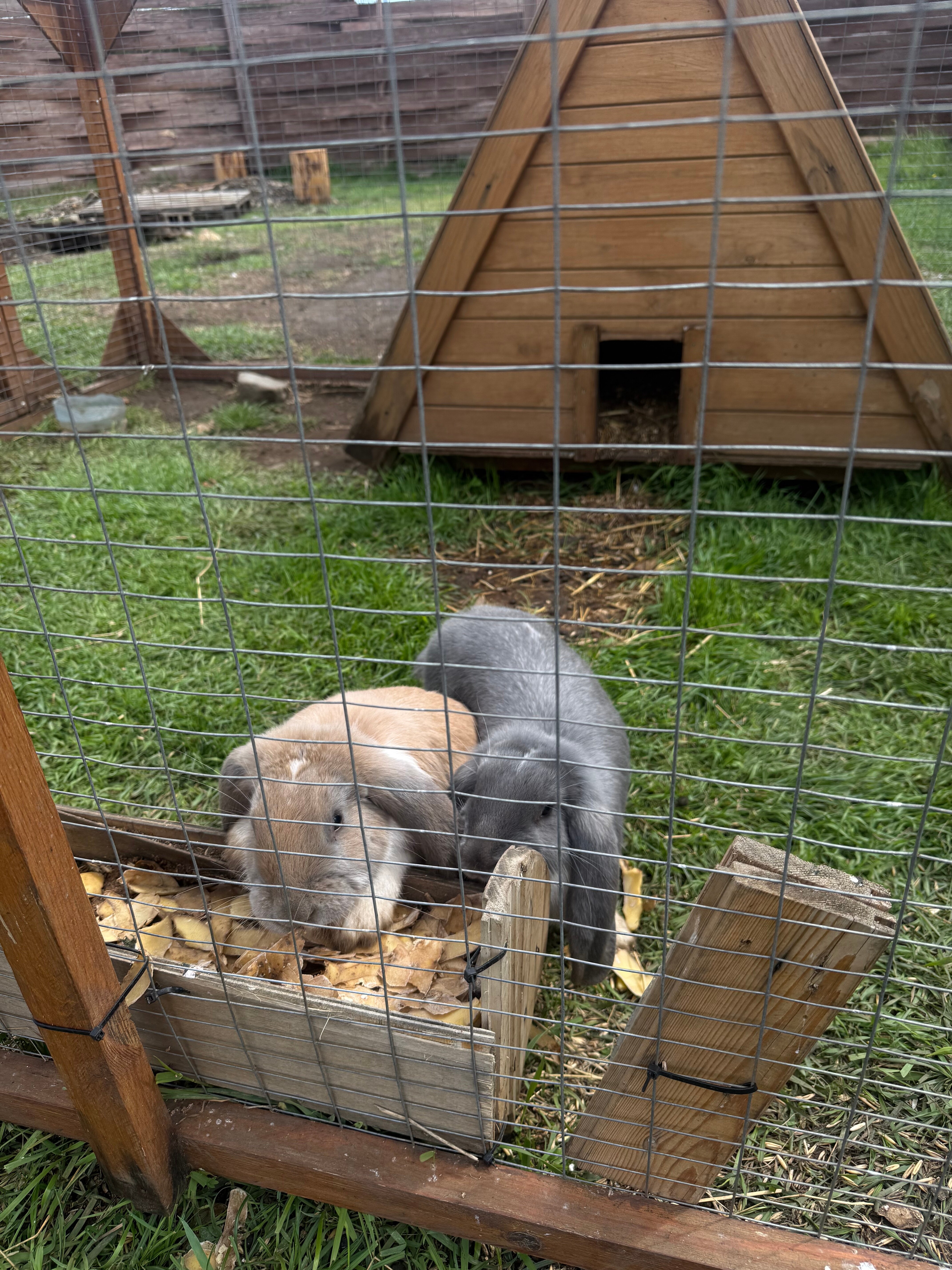 Фото Остров 7 тополей