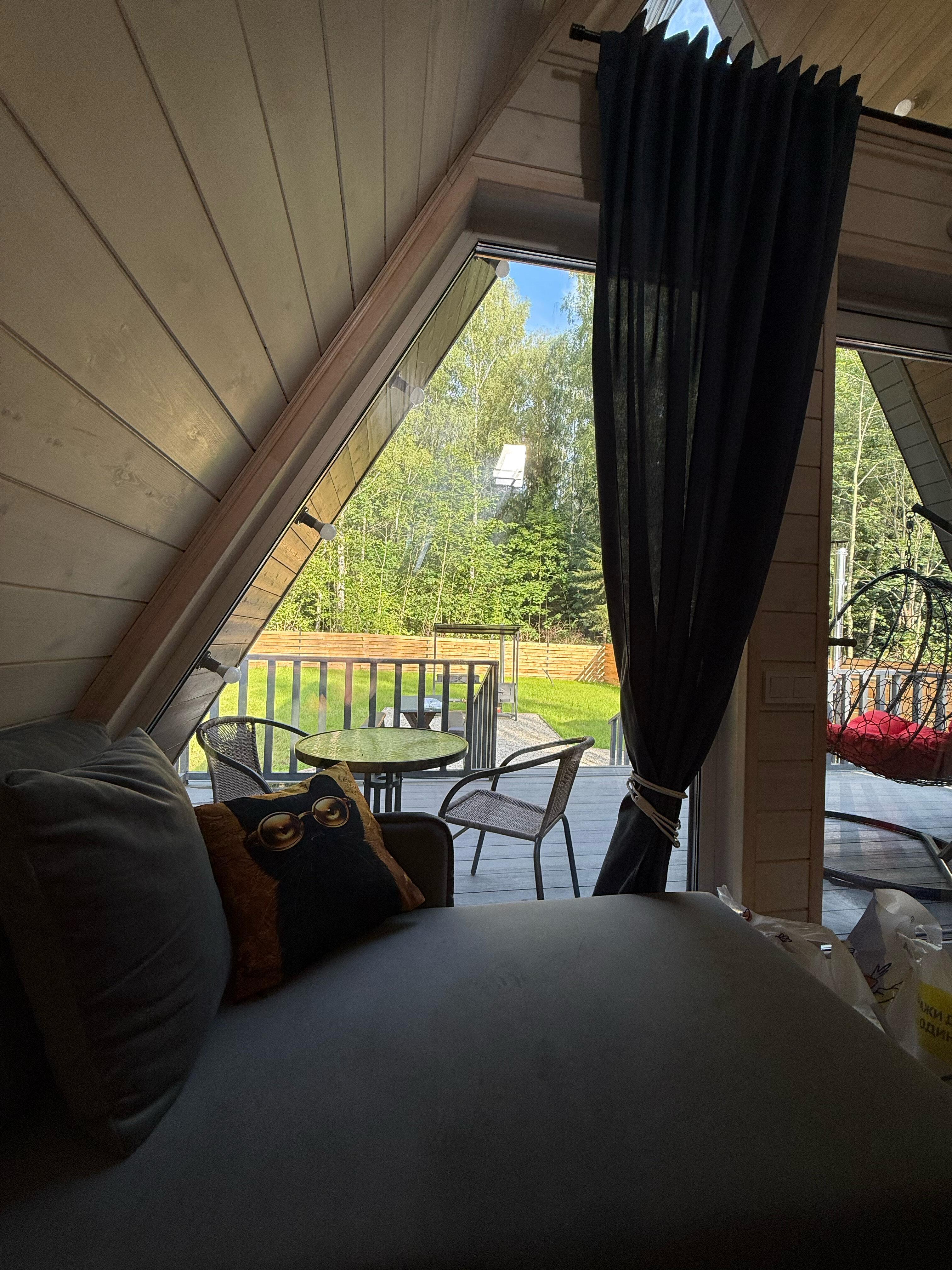 Фото Звёзды леса