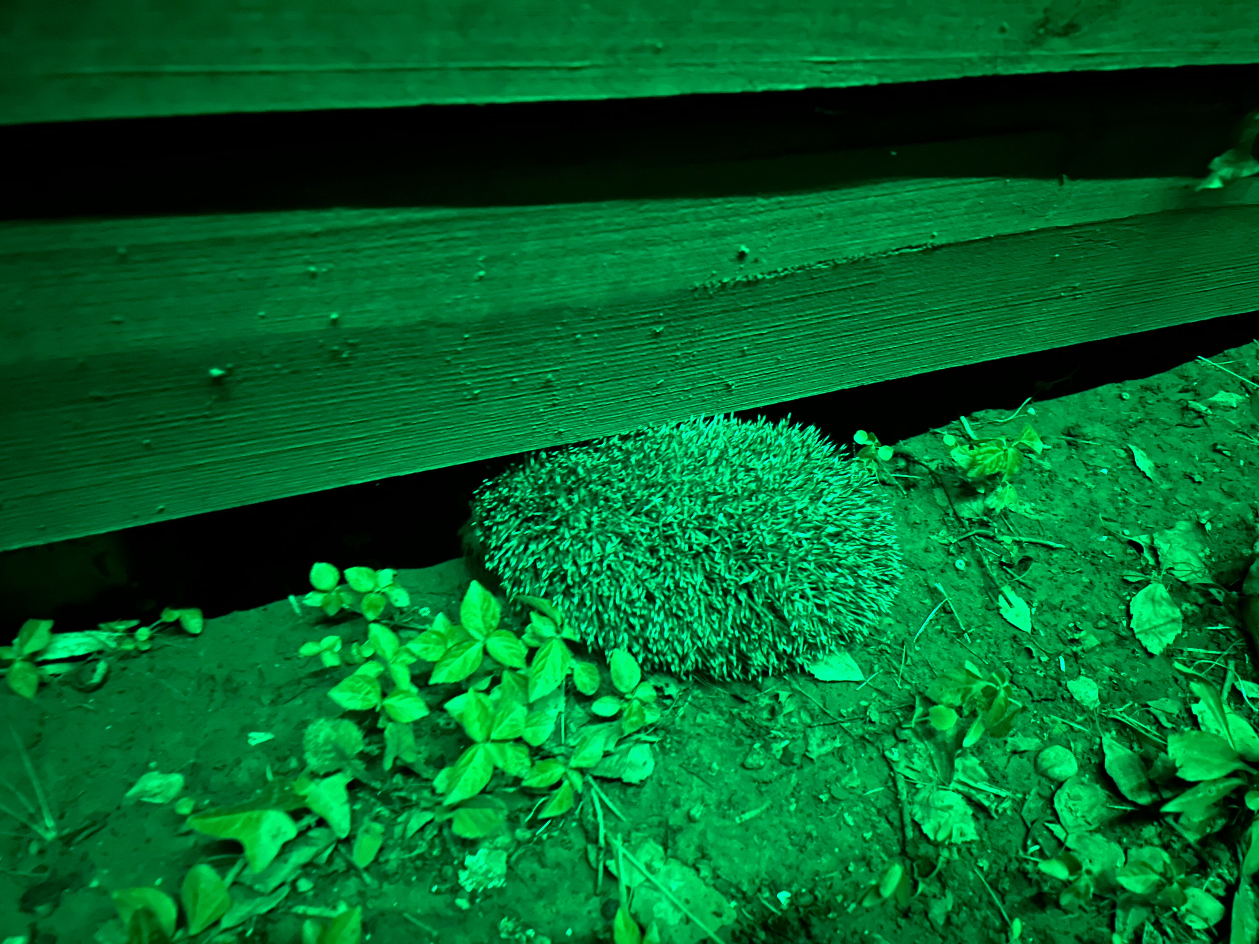 Фото На море у реки