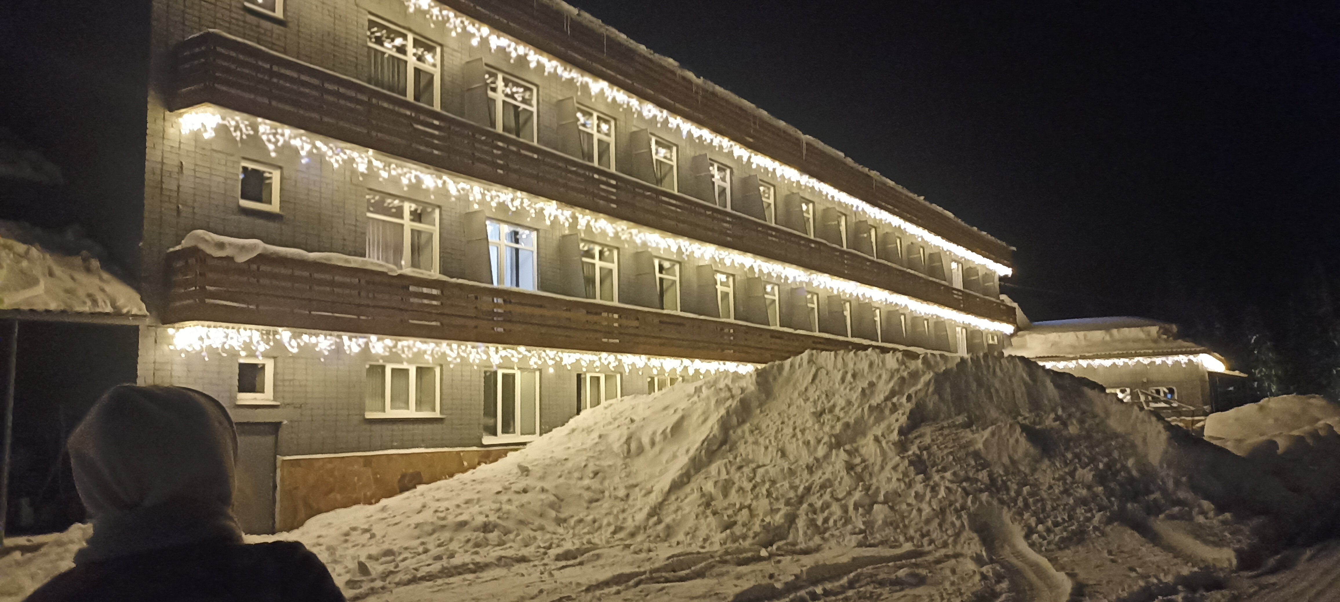 Фото Ромашка