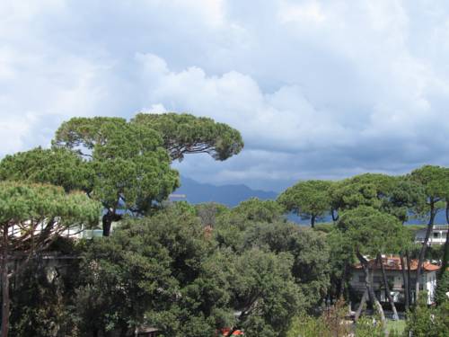 Фото Hotel President