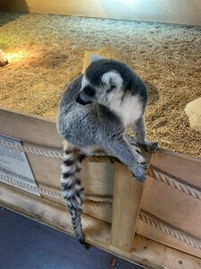 Zoopark Vilnius (Vilnius, Verkių Street, 29), zoo