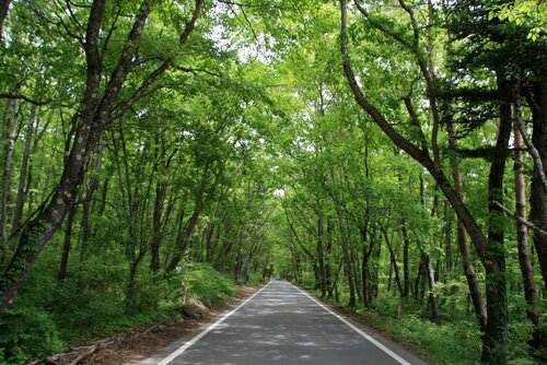 Гостиница Twin-Line Hotel Karuizawa Japan в Каруидзаве