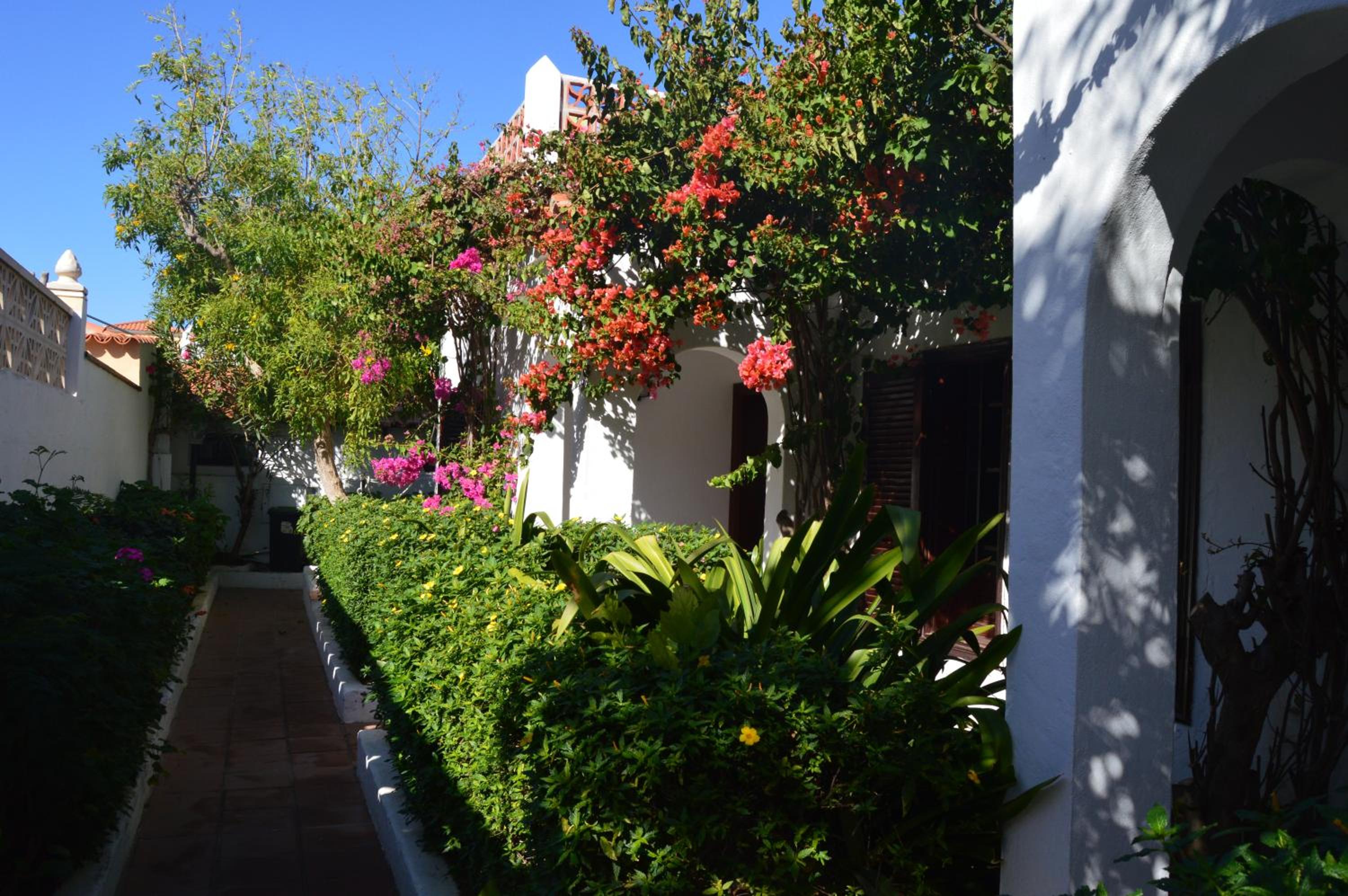 Фото La Concha del Mar Apartments