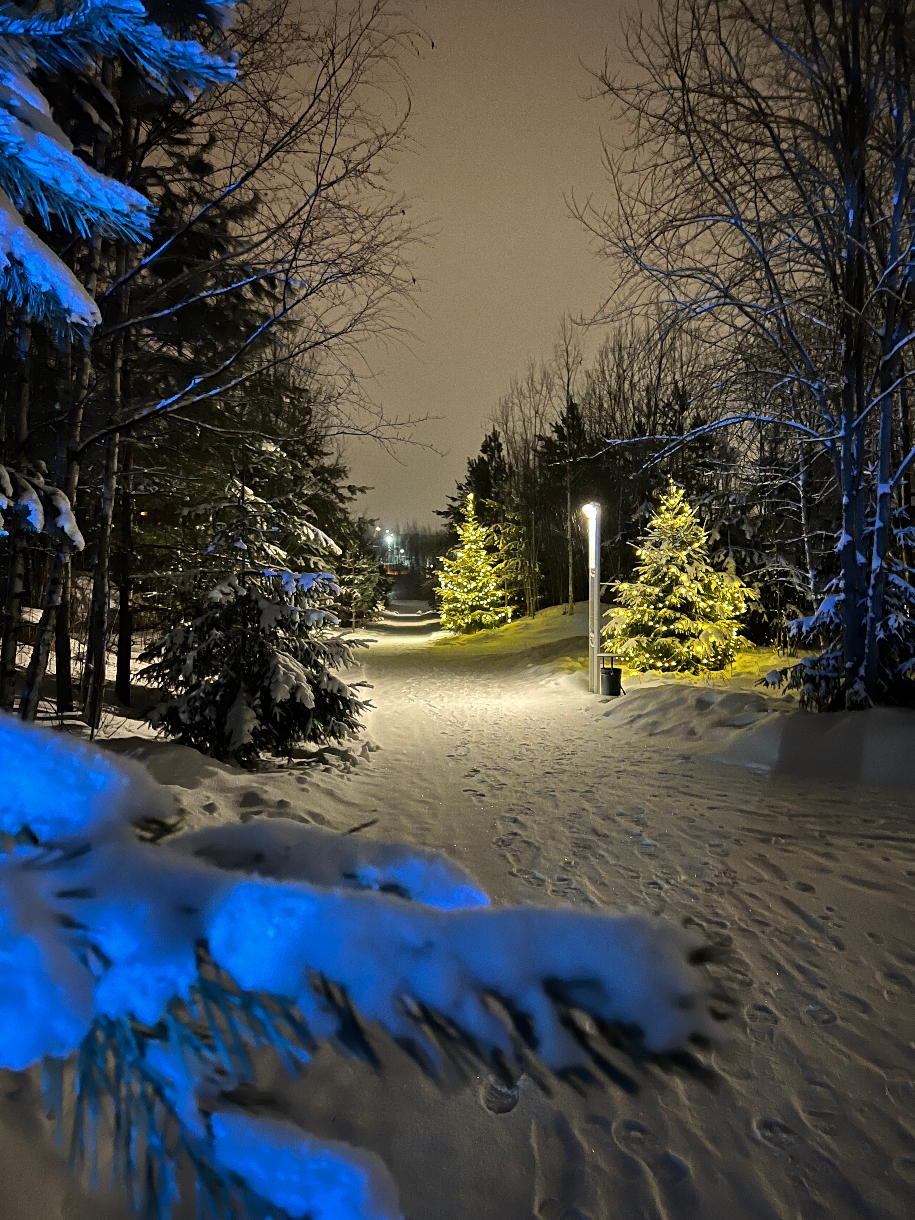 Фото Фрегат