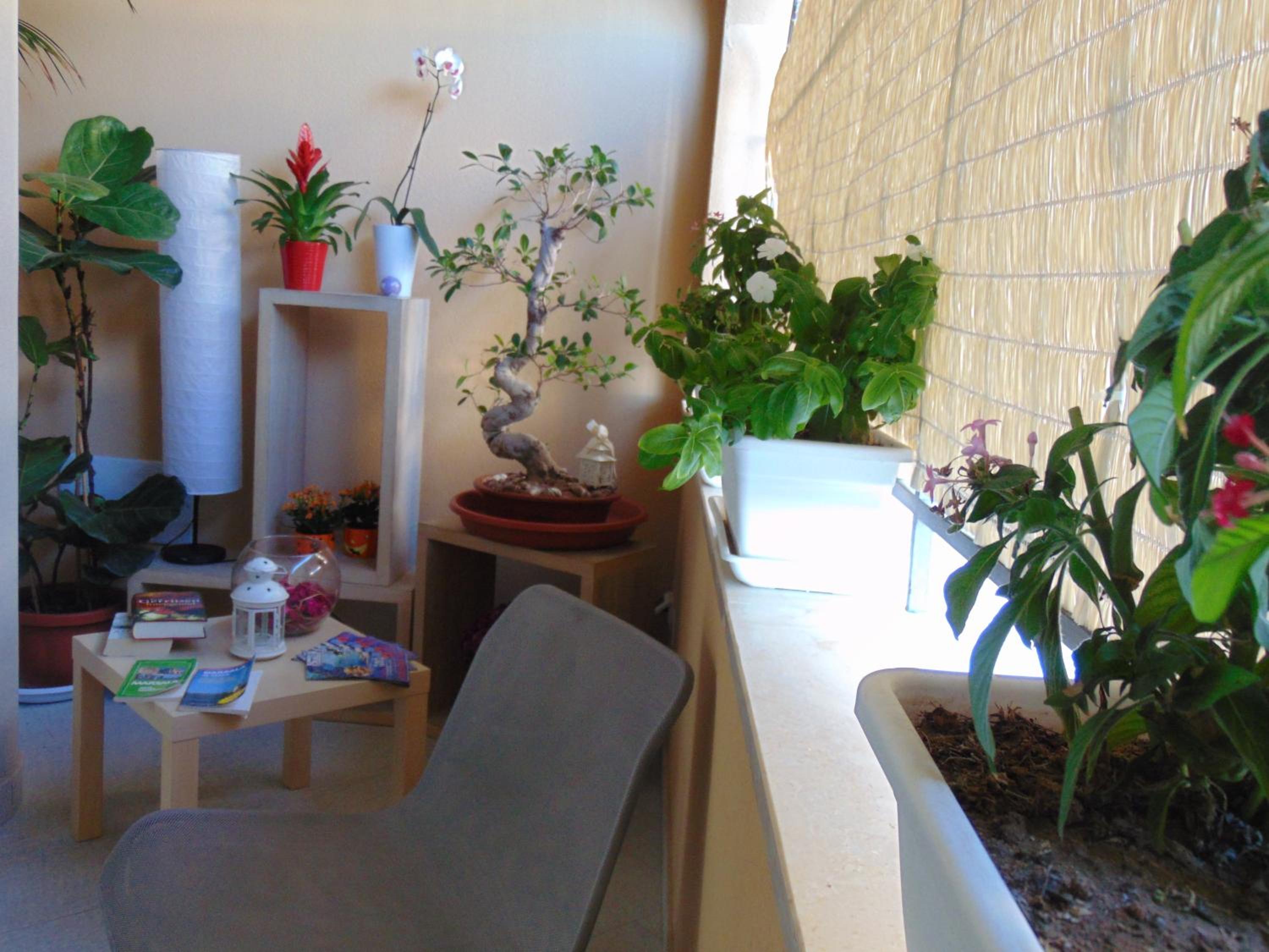 Фото Residence Le Isole