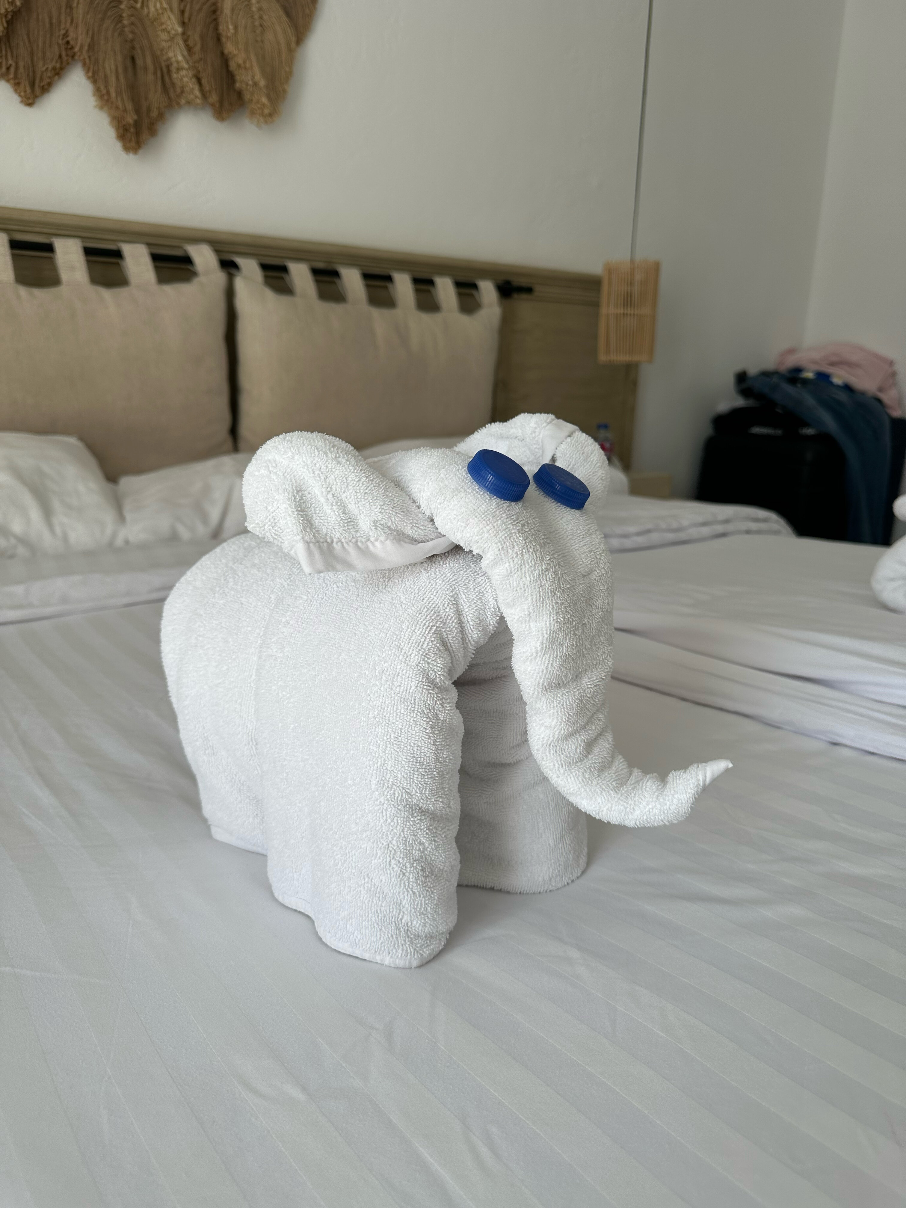 Фото Sunrise Tucana Resort