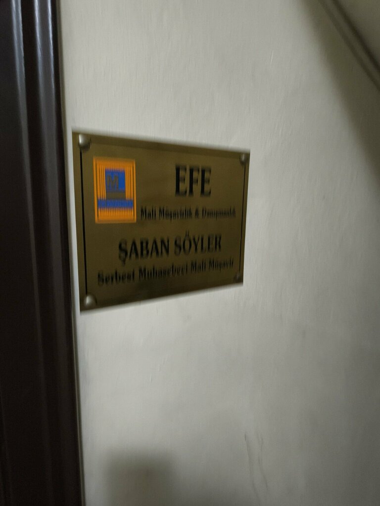 مستشارو الضرائب Efe Accounting Financial Consulting ، اسطنبول، صورة