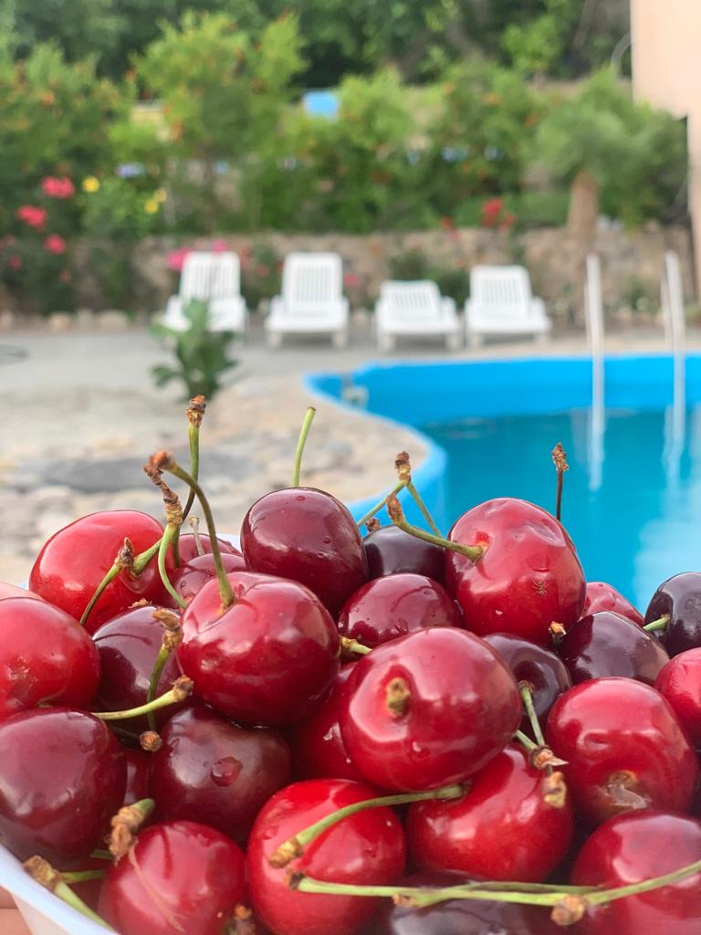 Фото Гульсана