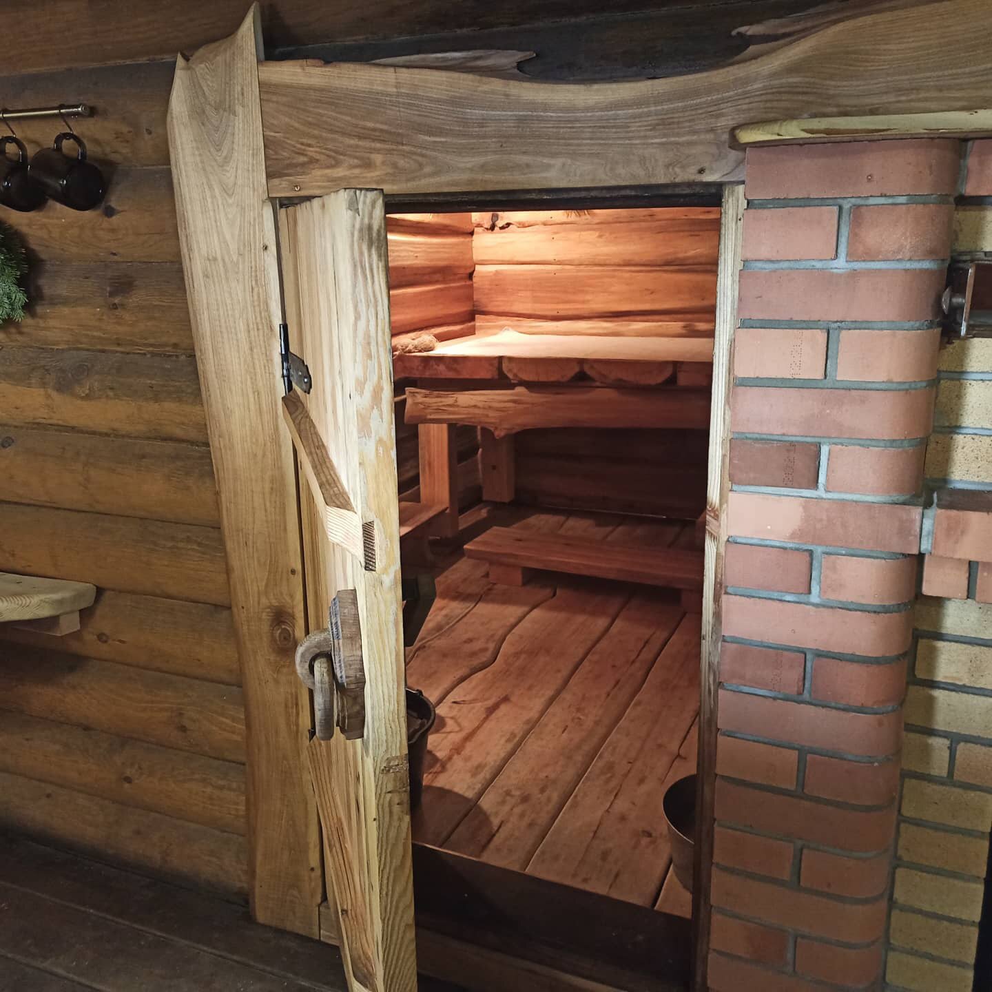 Фото Золотой фазан