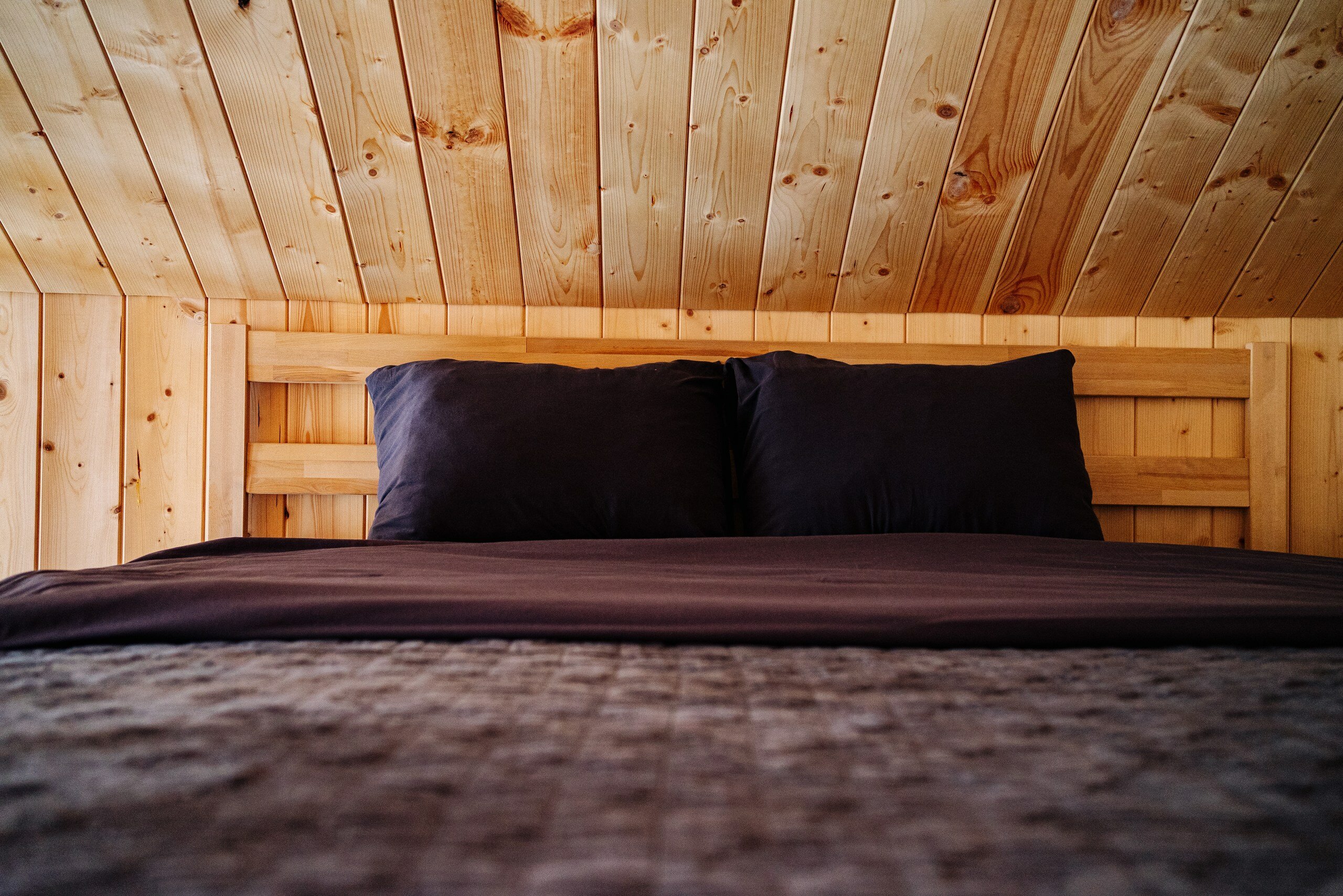 Фото Домик в сосновом бору