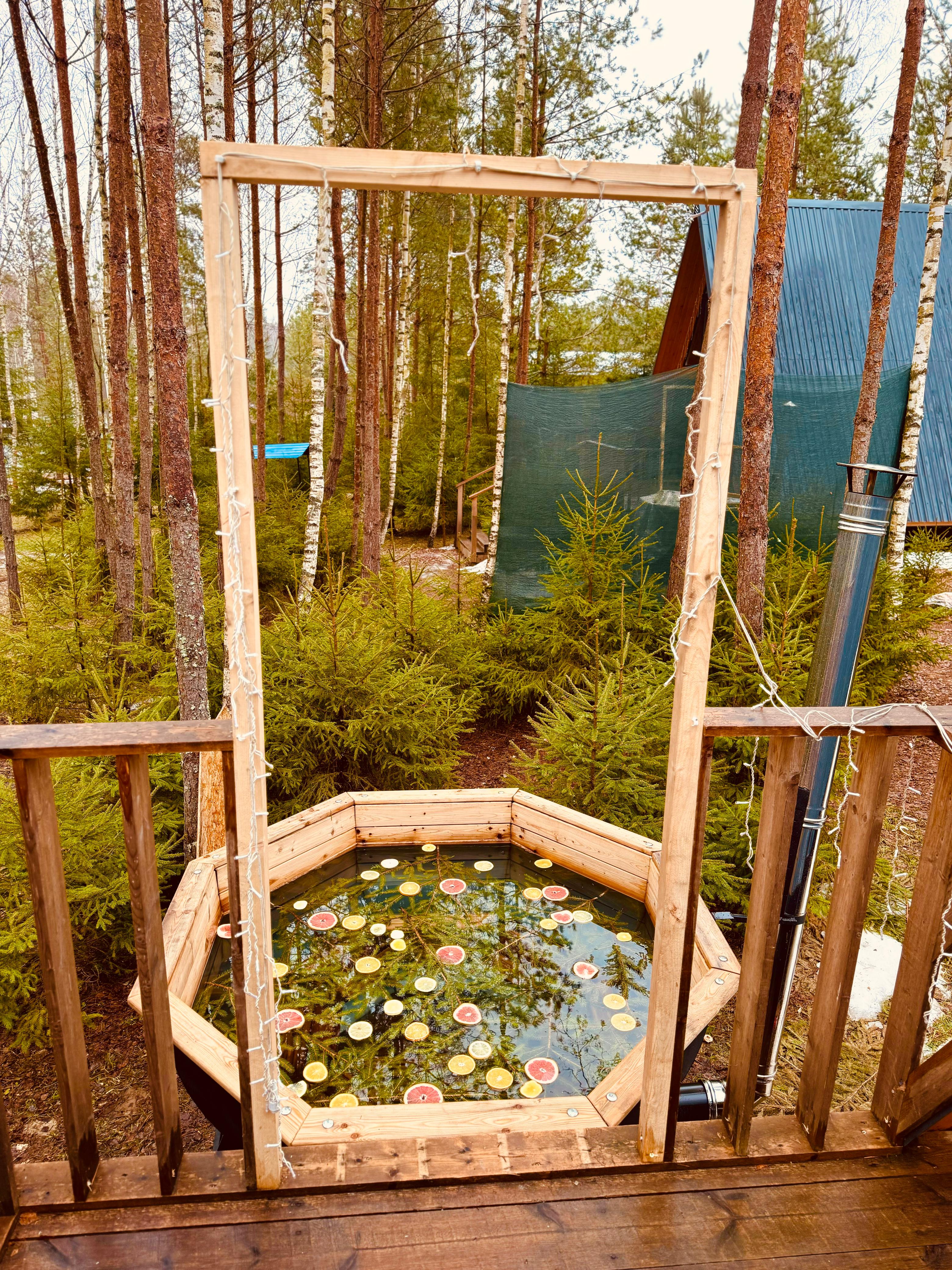 Фото Лесная сказка