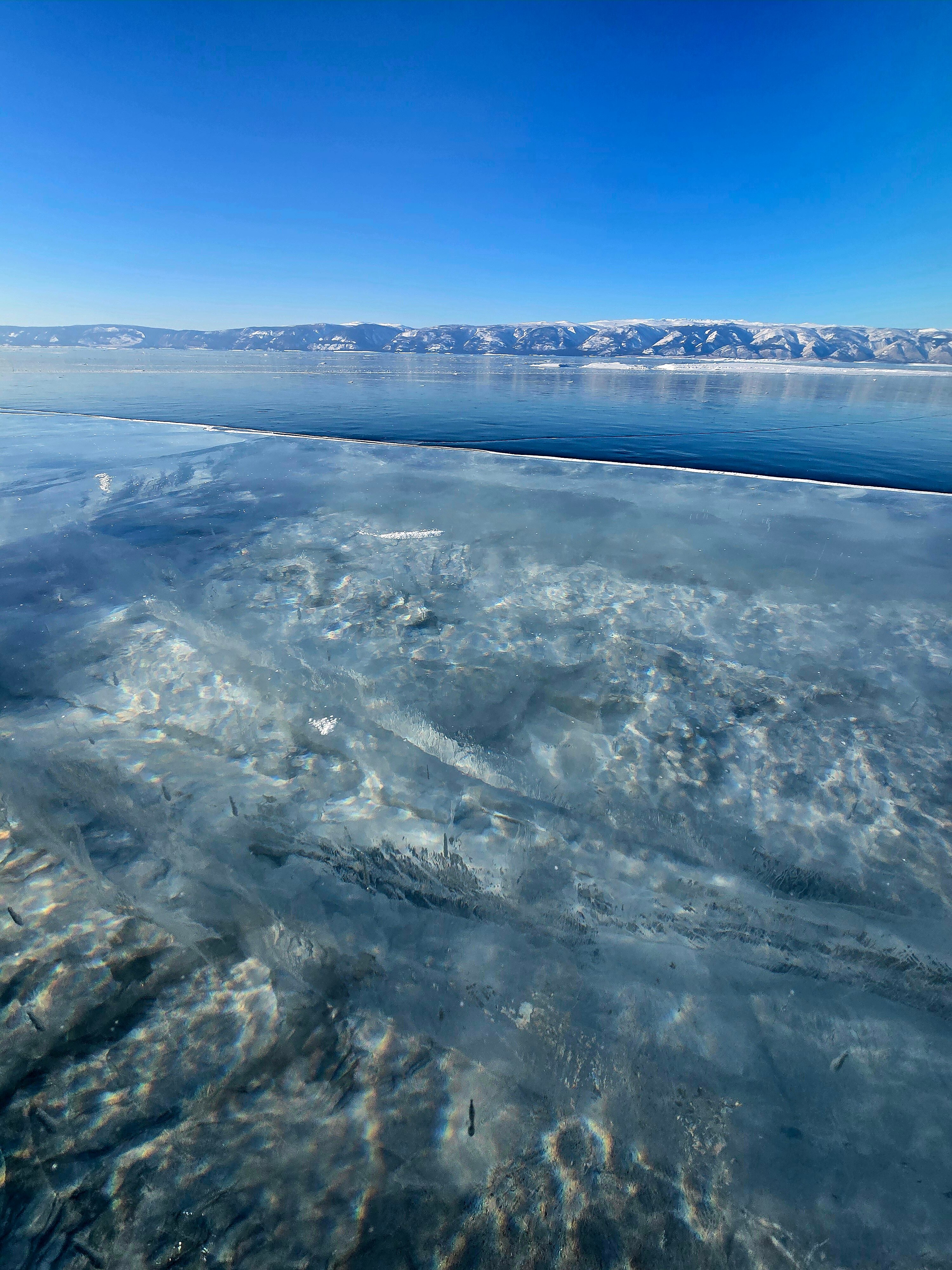 Фото Иволга