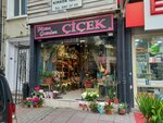 Flora Garden Florist (Istanbul, Bakirkoy District, Zeytinlik Neighborhood, Tasevler Street, 19A), floristeria
