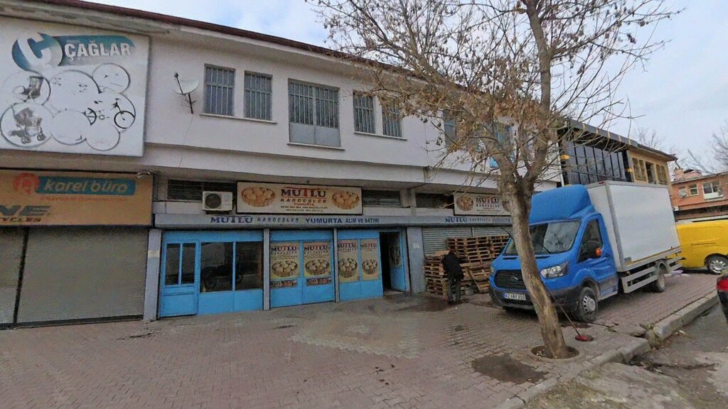 Egg and poultry meat Happy Brothers Eggs, Konya, photo