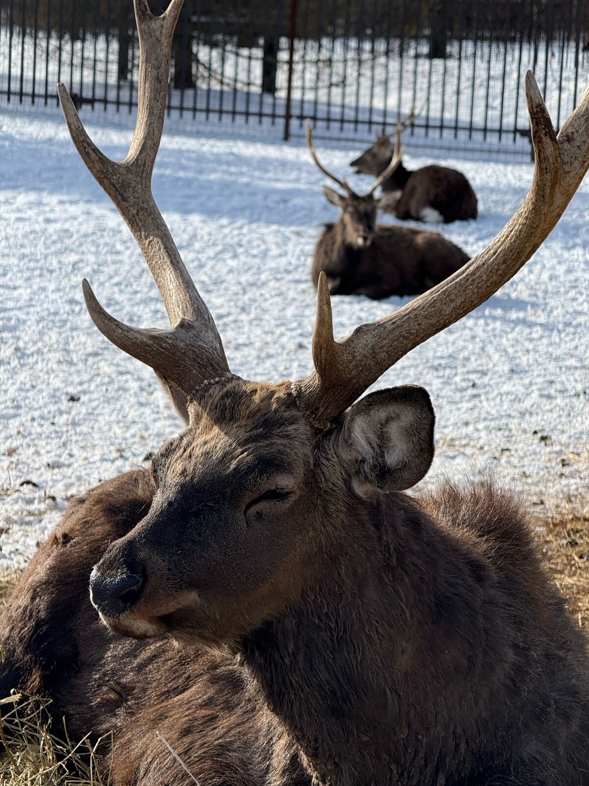 Фото Chill Point