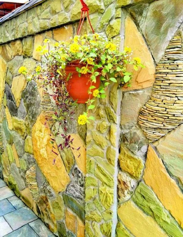 Фото Розмарин